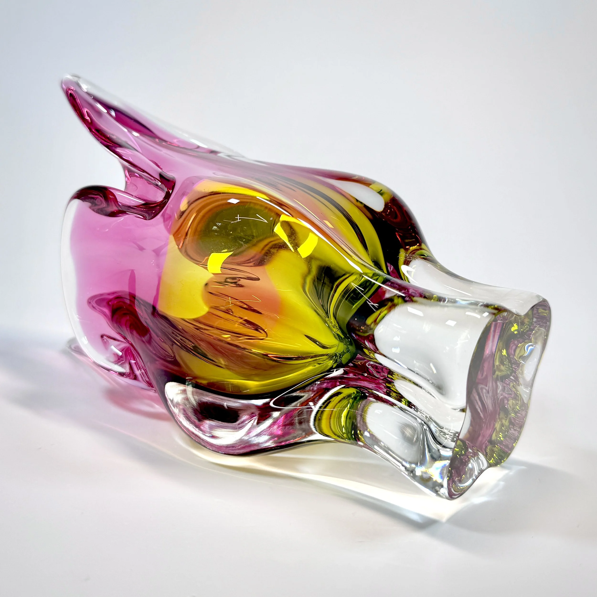 20260426_075204287_iOS 1.jpg