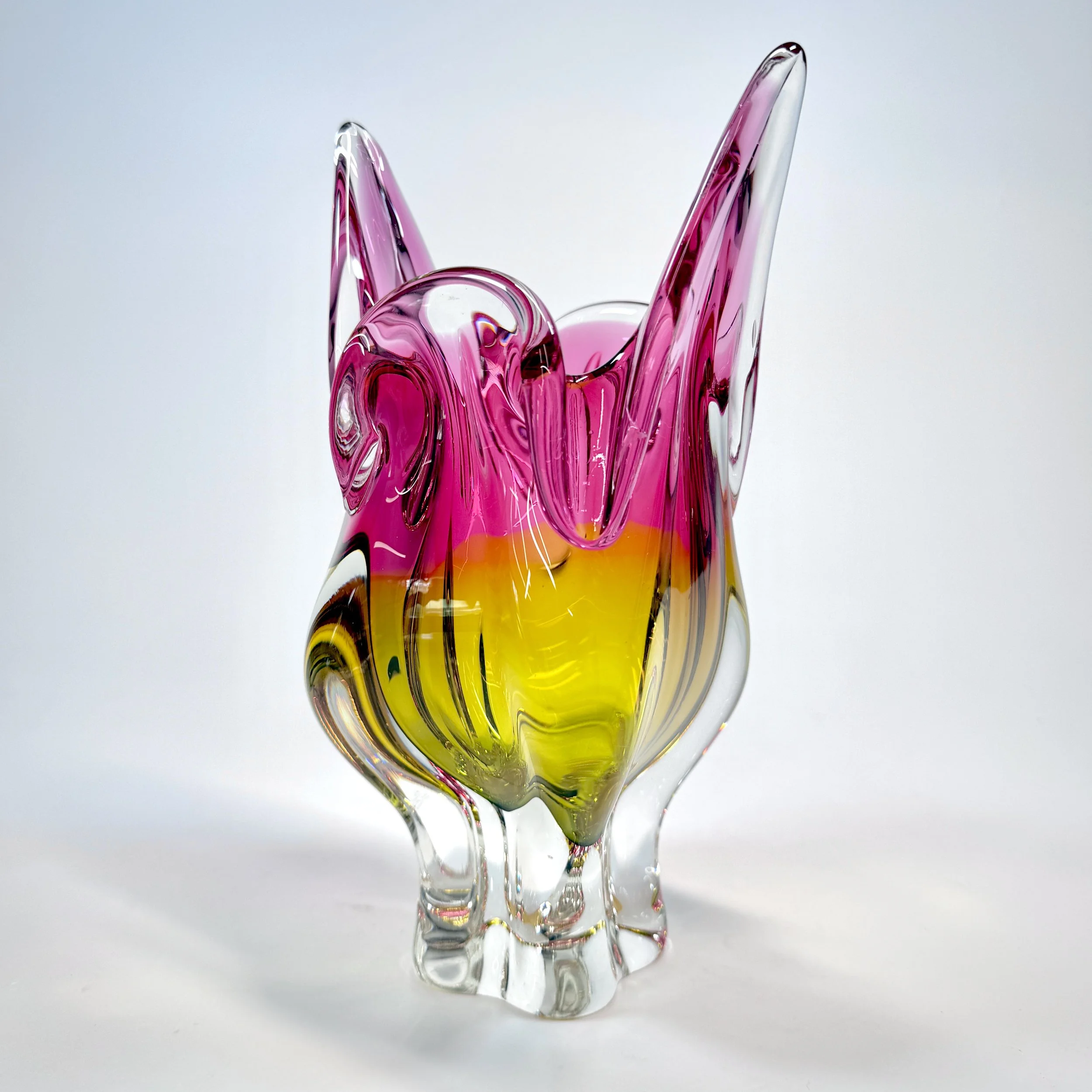 20260426_074823057_iOS 1.jpg