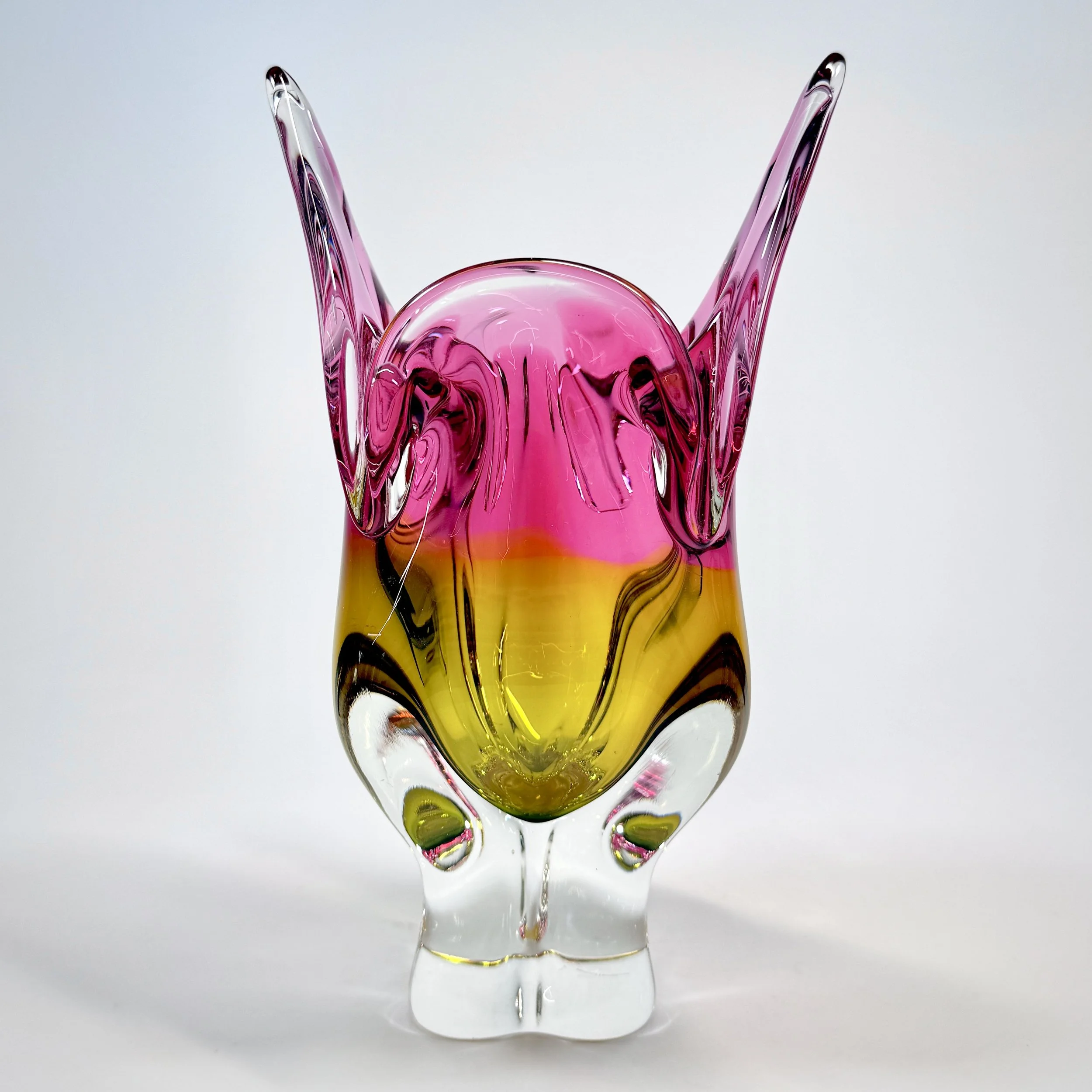 20260426_074848882_iOS 1.jpg