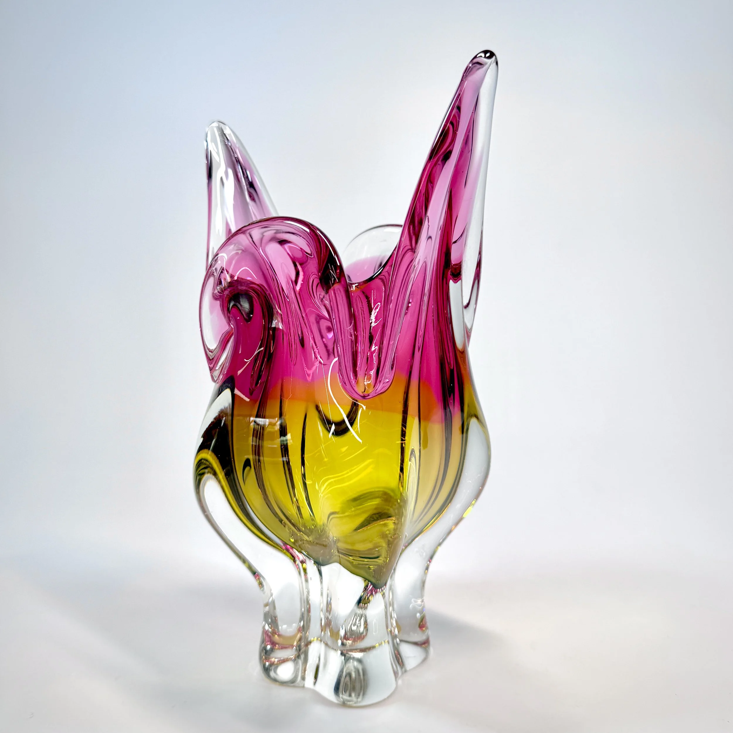 20260426_074900811_iOS 1.jpg