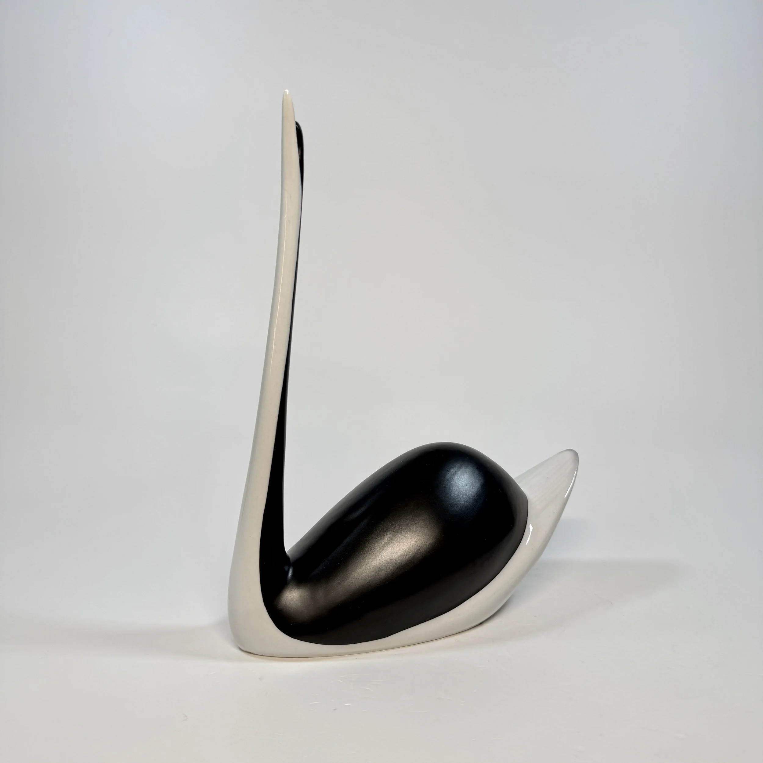 20260420_094257774_iOS 1.jpg