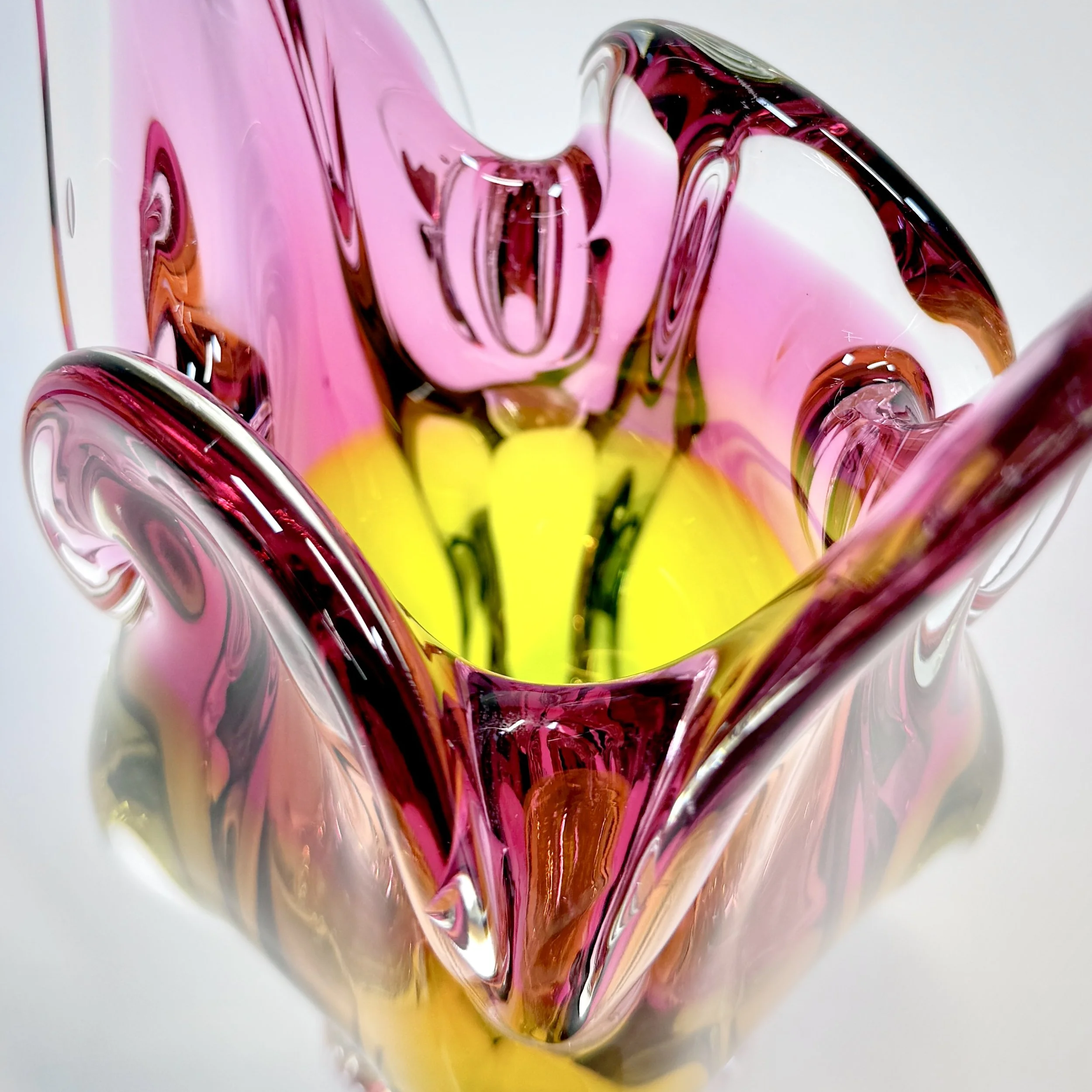 20260426_074957704_iOS 1.jpg