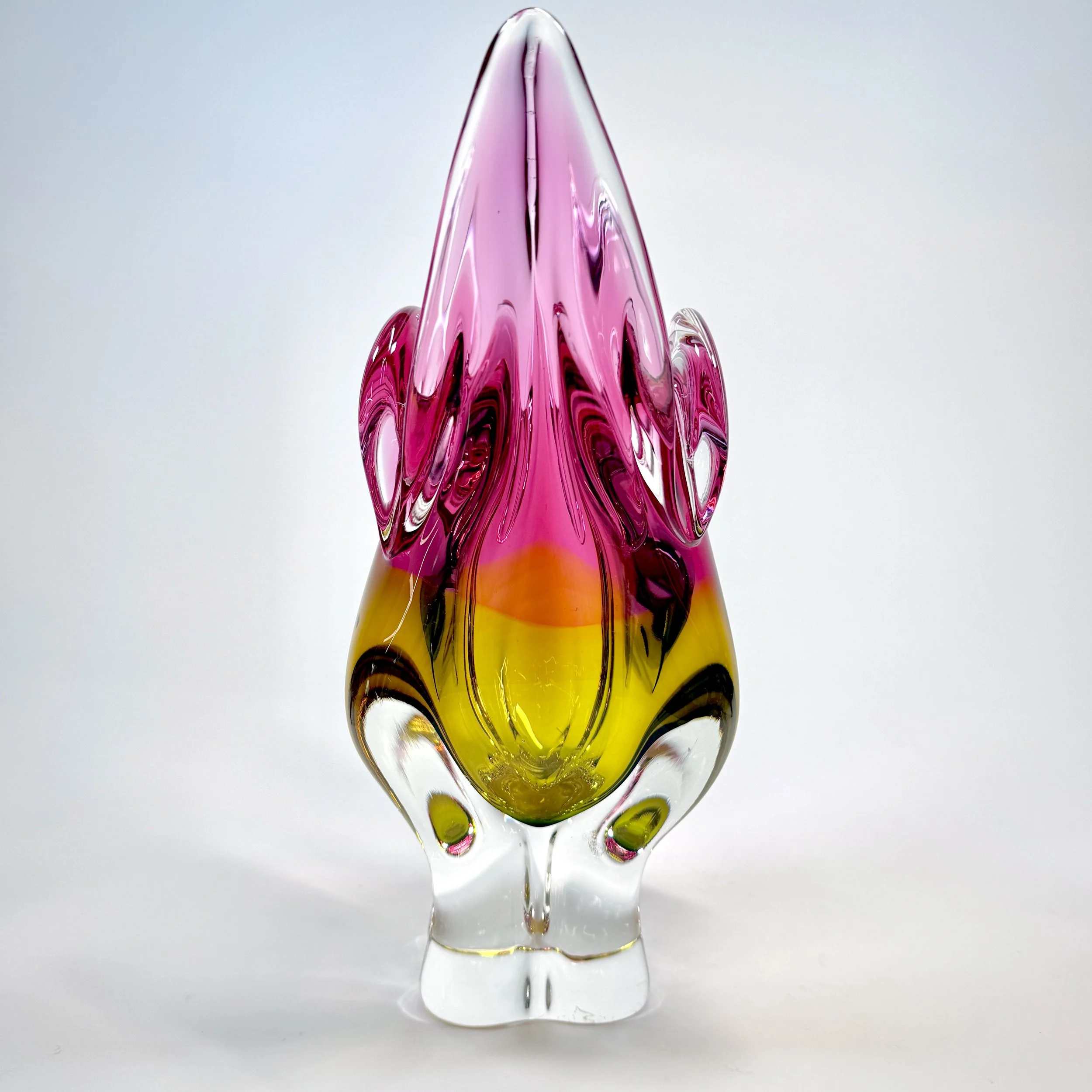 20260426_074911829_iOS 1.jpg