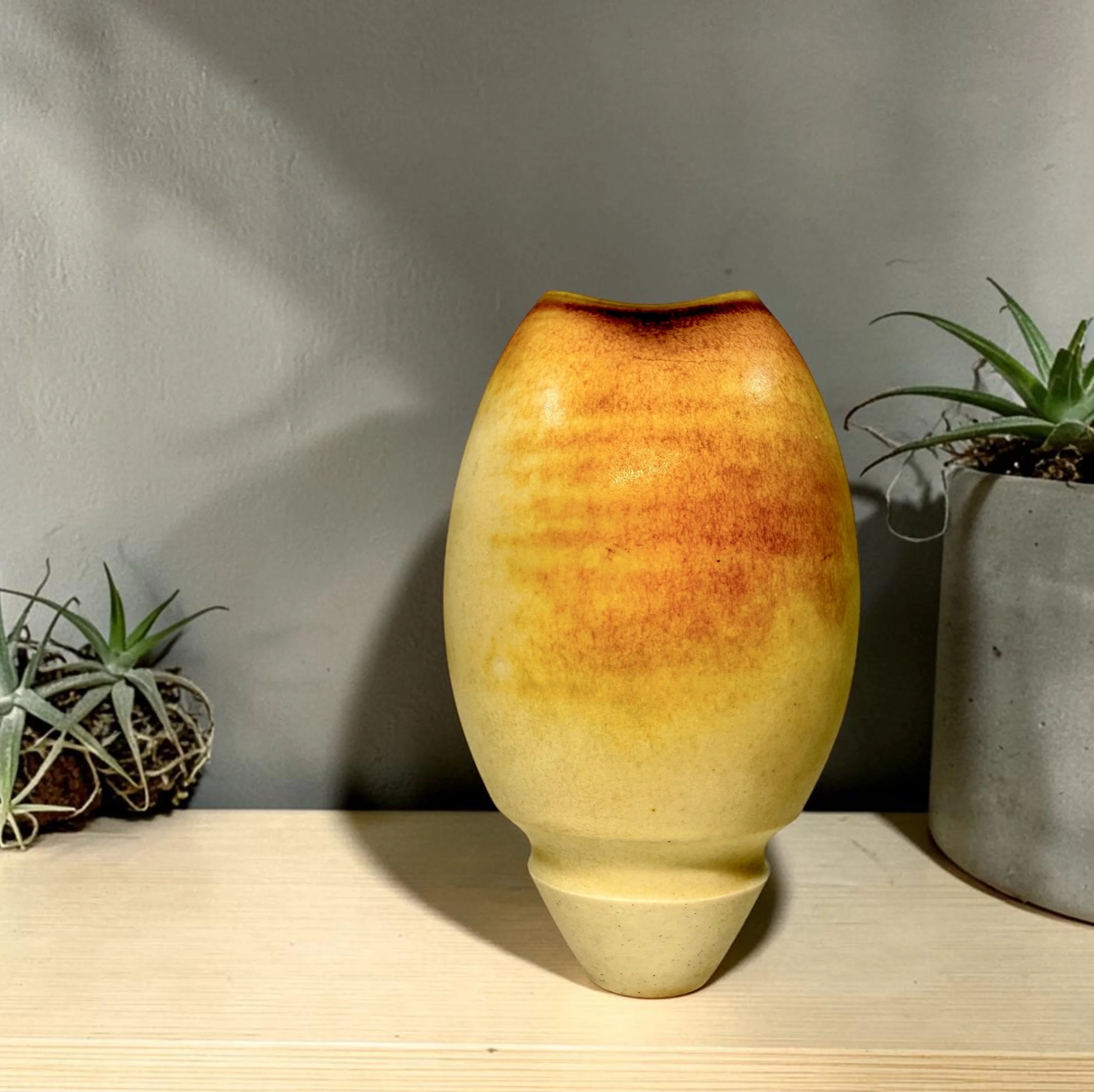 20260413_080050696_iOS (1).jpg