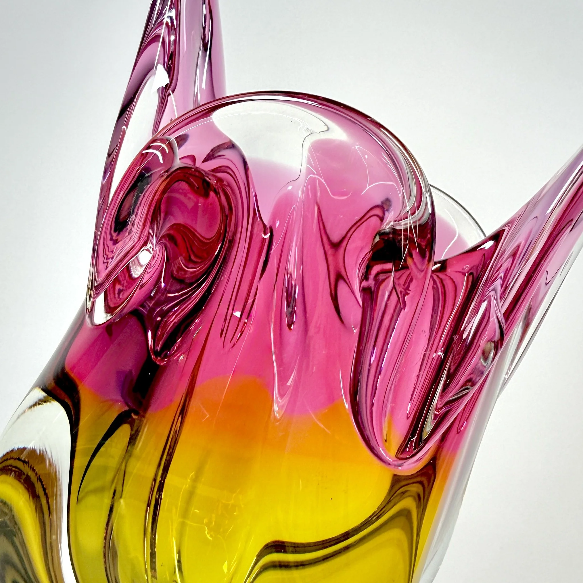 20260426_075030231_iOS 1.jpg