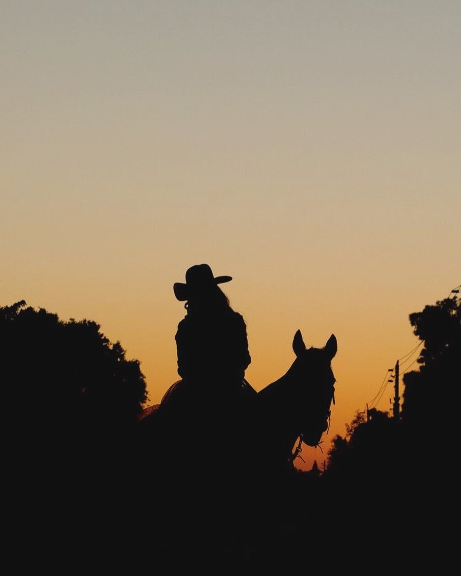 mtn cowboy .

.
.
.
.

#blueridge #travel #travelphotography #travelgram #wanderlust #photography #traveltheworld #instatravel #nature #traveling #travelling #photooftheday #instagood #traveler #traveller #travelblog #ig #love #picoftheday #naturepho