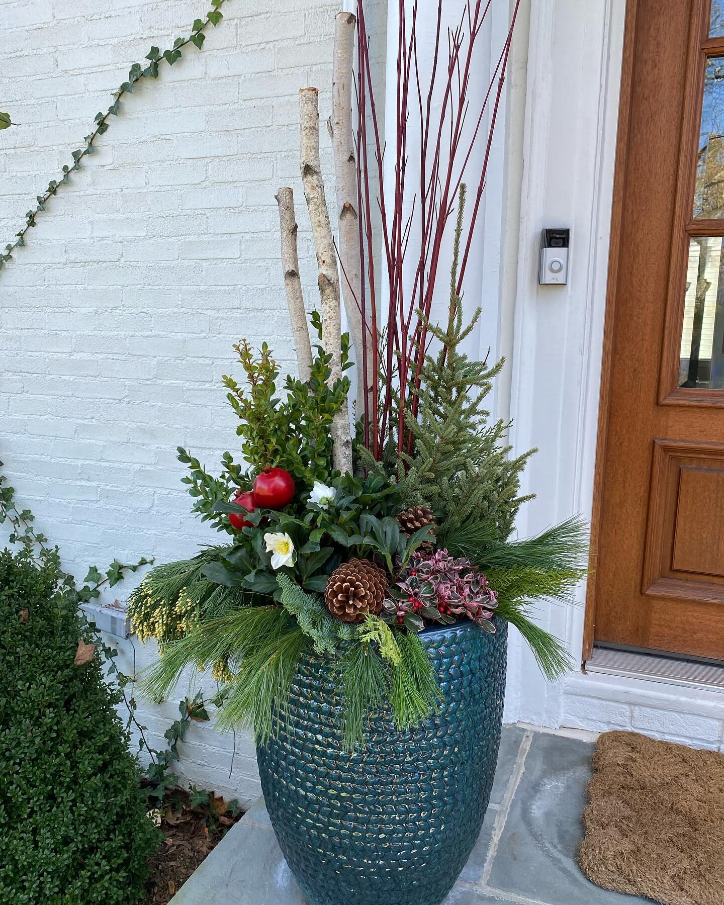 Now that the dahlias are dug, washed, divided and finally stored for the winter, we have a minute to look back at some pictures of our winter container arrangements. It&rsquo;s been a busy season and the creativity came out in full force!