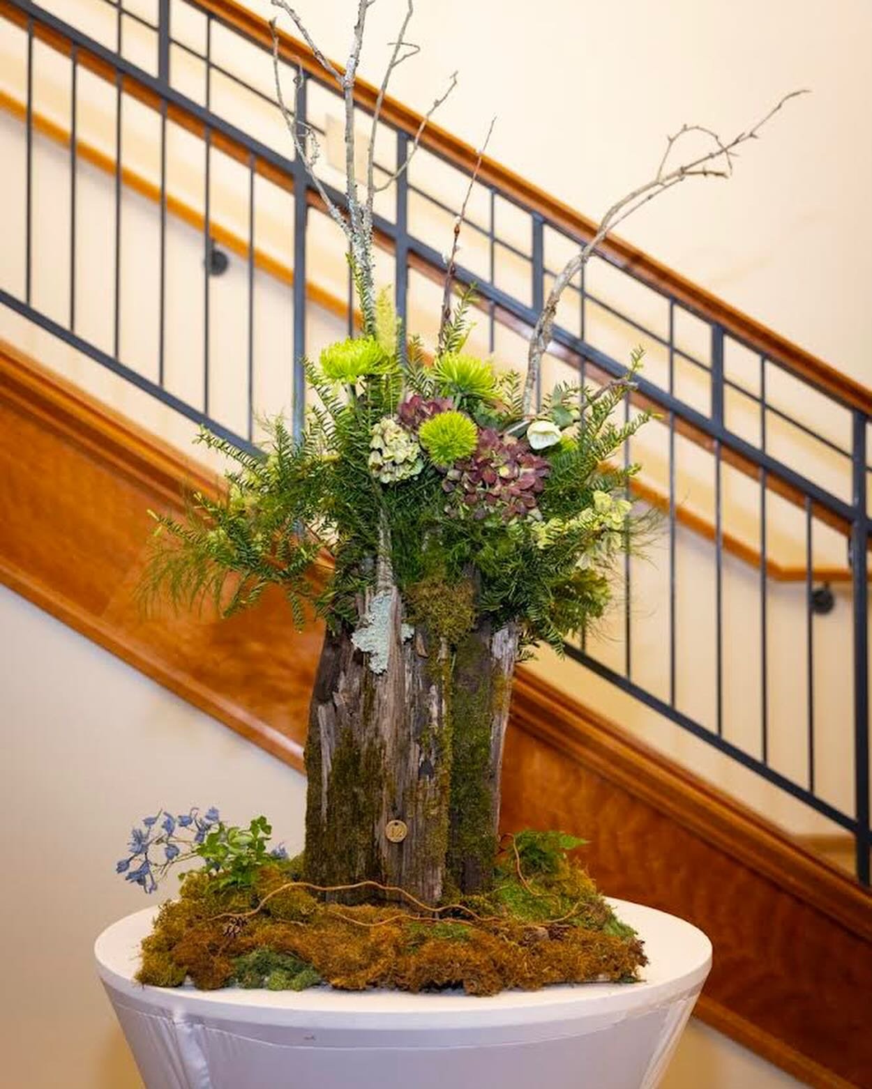 The library. It&rsquo;s one of my favorite places. Last year, the Wellesley Library Foundation @wellesleyfreelibraryfoundation hosted &ldquo;Books In Bloom&rdquo;. A fundraising event where floral artists were paired up with the library&rsquo;s choic