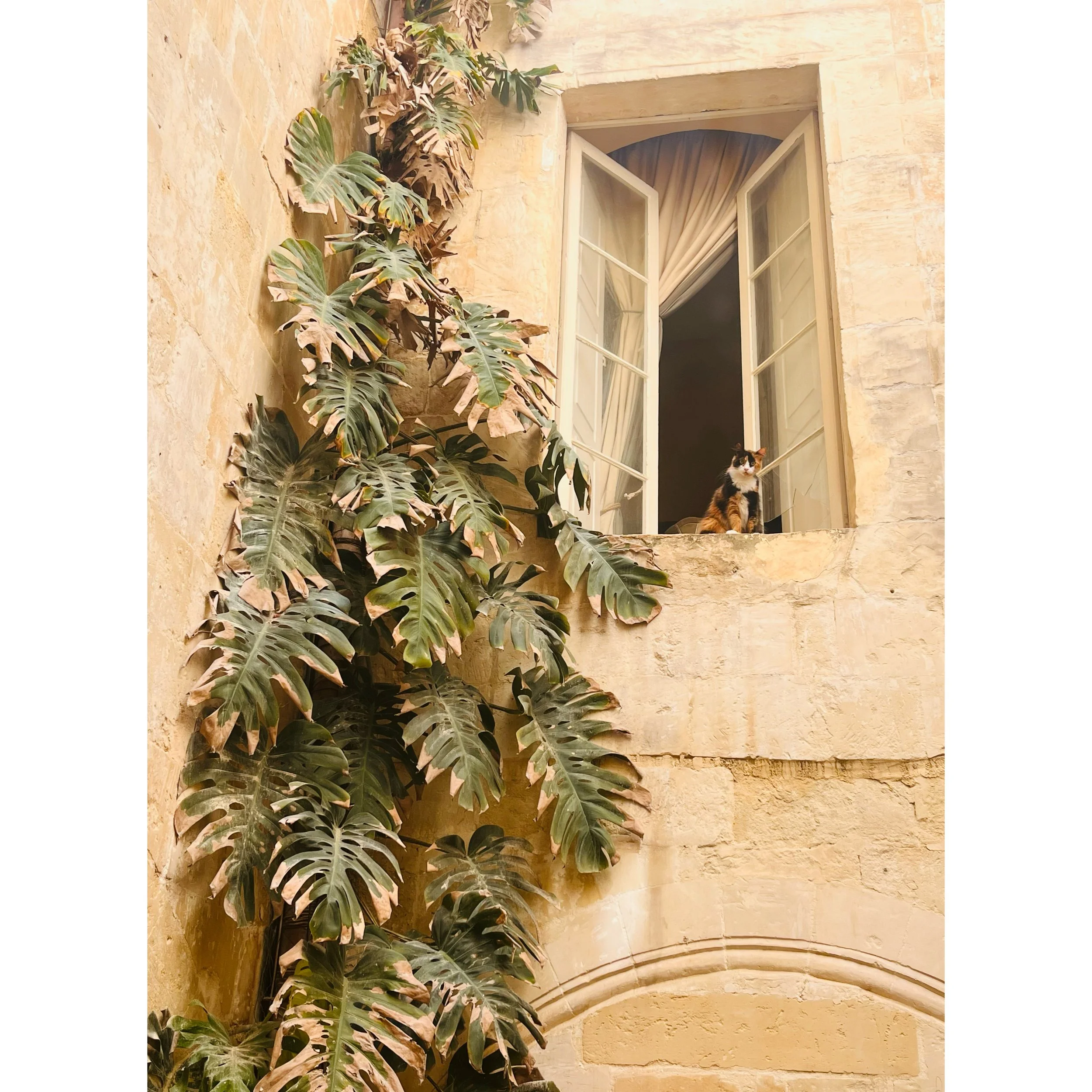 Whitagram-Image 7.JPG