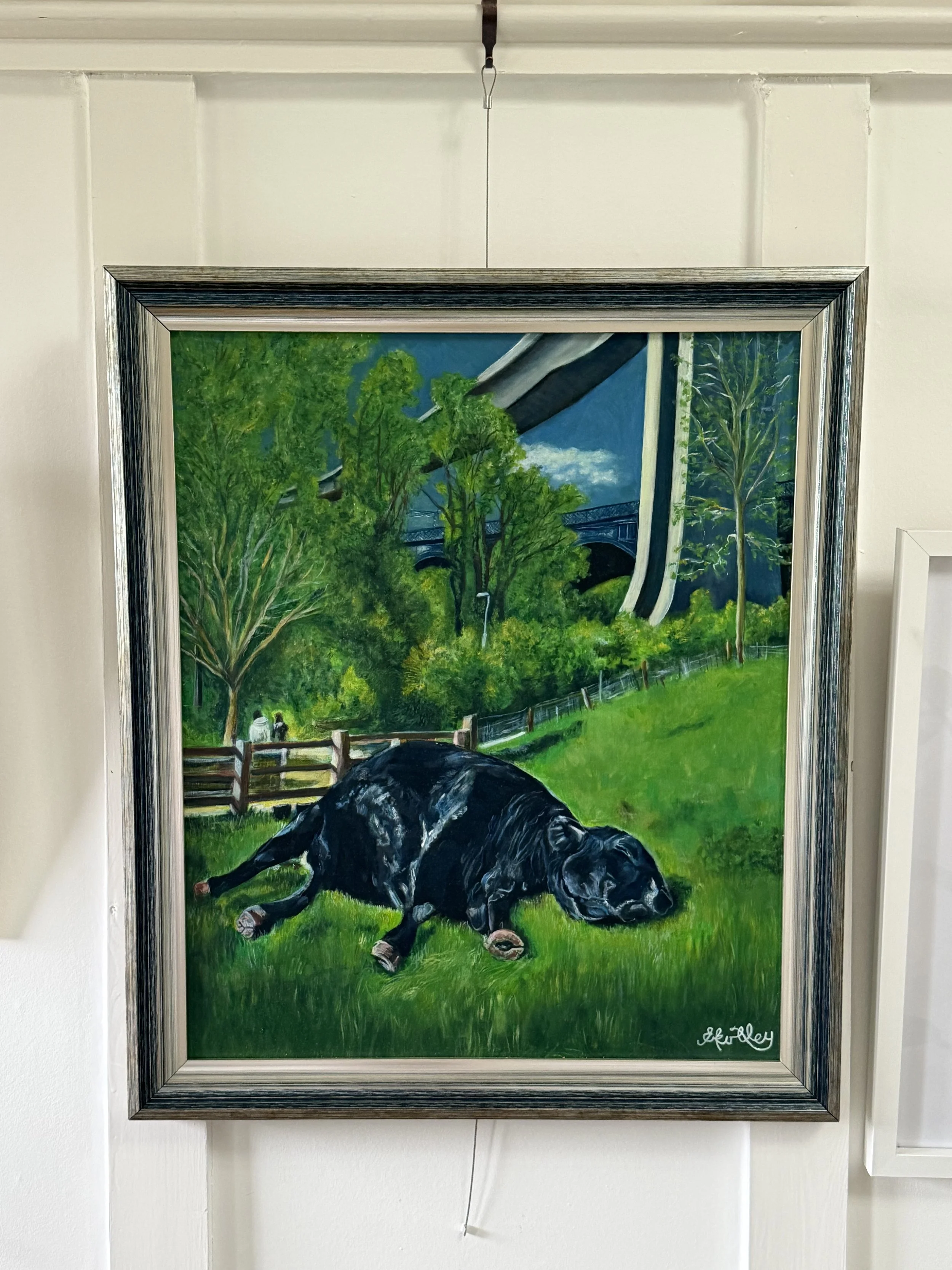 Original Oil Painting | Lazy Cow by Erin Kirtley