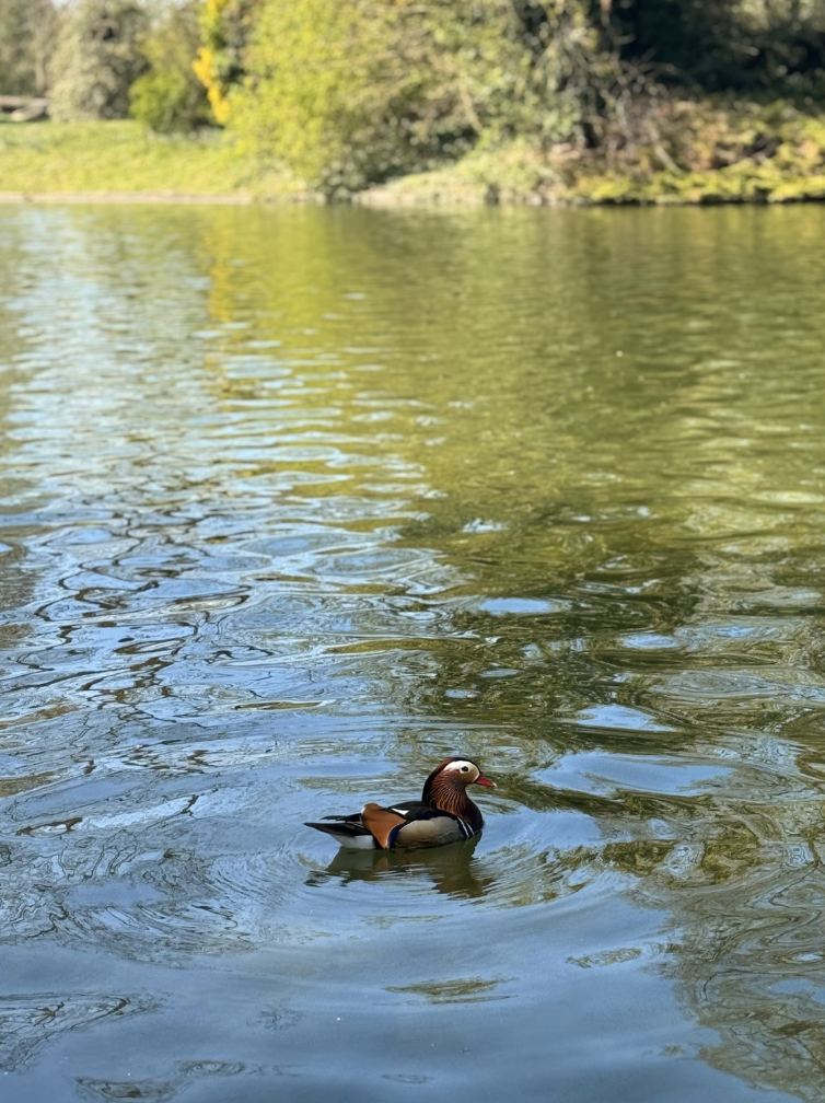 Screenshot 2026-02-16 at 21.33.18.png