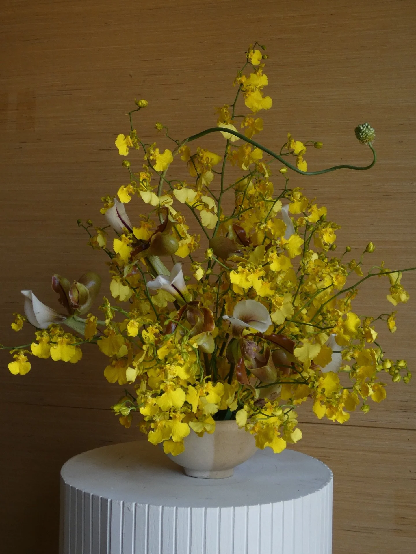 Using color to conjure warmth 

Dancing lady oncidium and lady slipper orchids with a singular snake allium