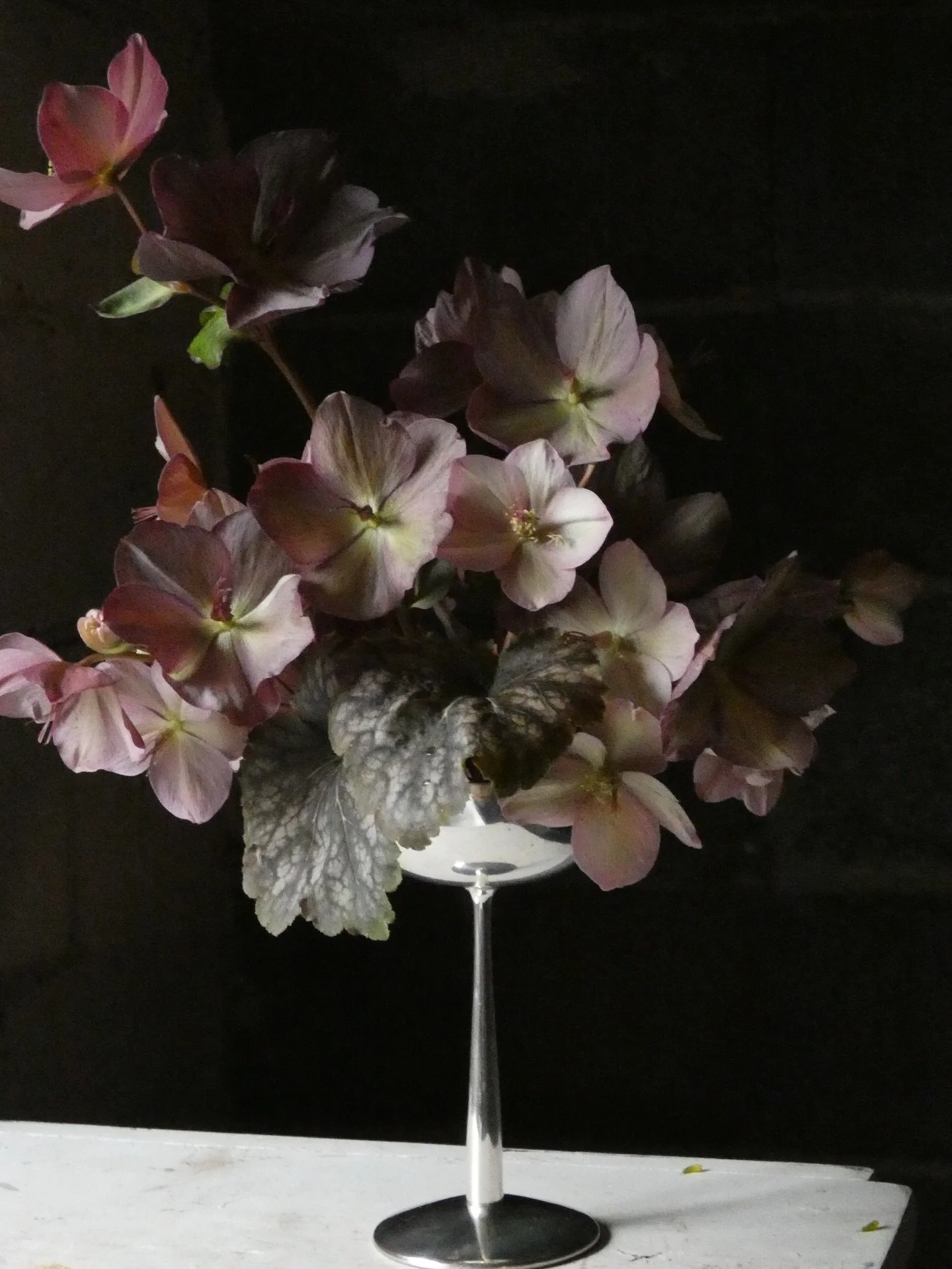 Hellebores and heuchera elevated on chrome 

Early spring as a mood. 
Smokey and glamorous.