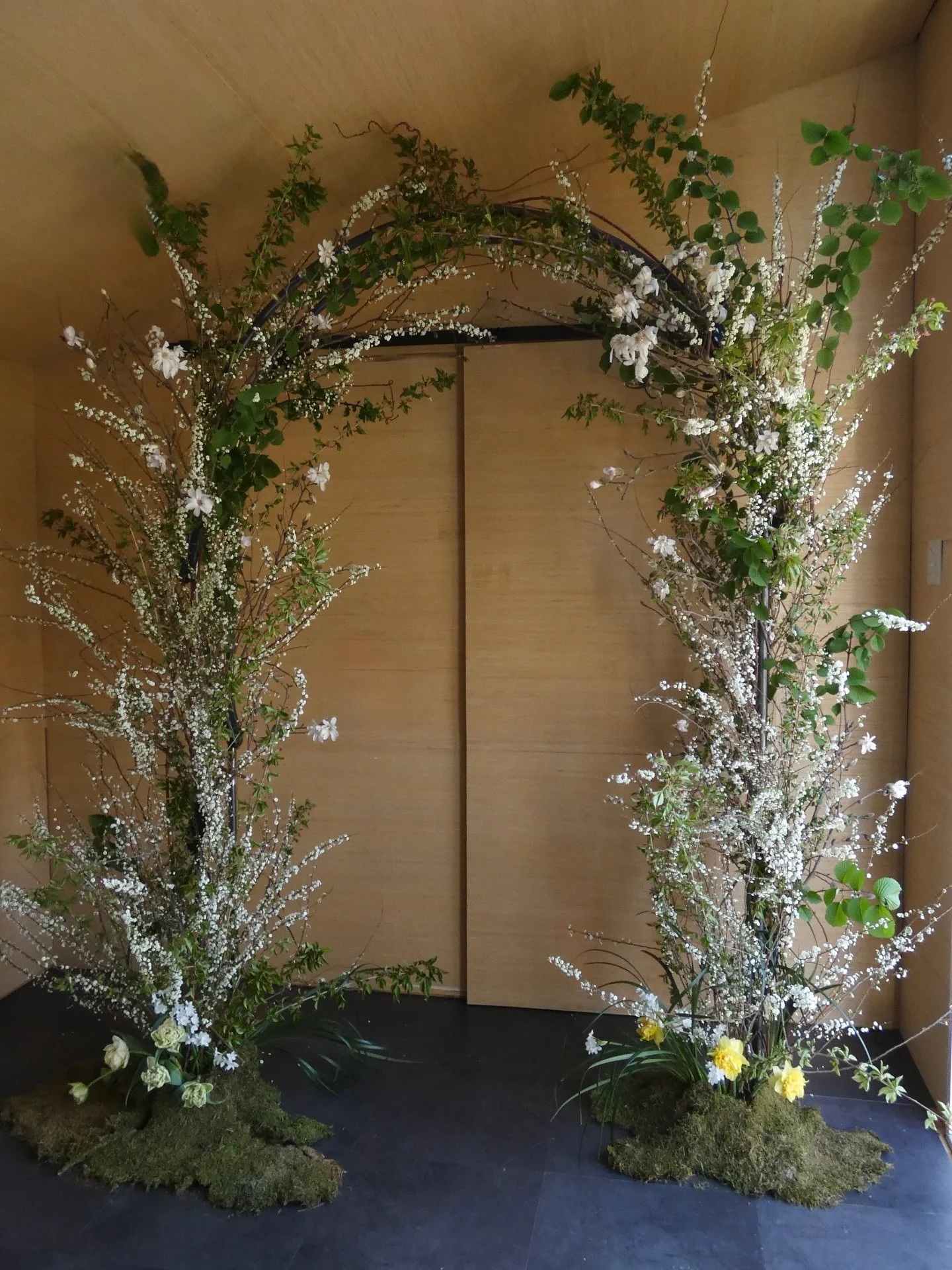 Spring&rsquo;s emergence 

Spring comes with dots of flowers in the greening up of leaves, slowly at first and then in a rush of beauty.

Sharing with full transparency that I still don&rsquo;t love this one, but it grew on me for the 2 days that it 