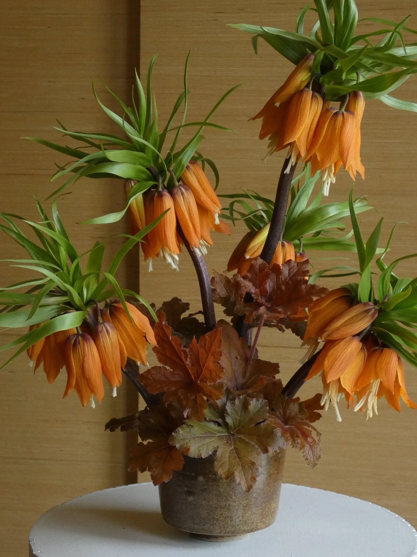 Earthy, yet slightly weird 
I am her, she is me.