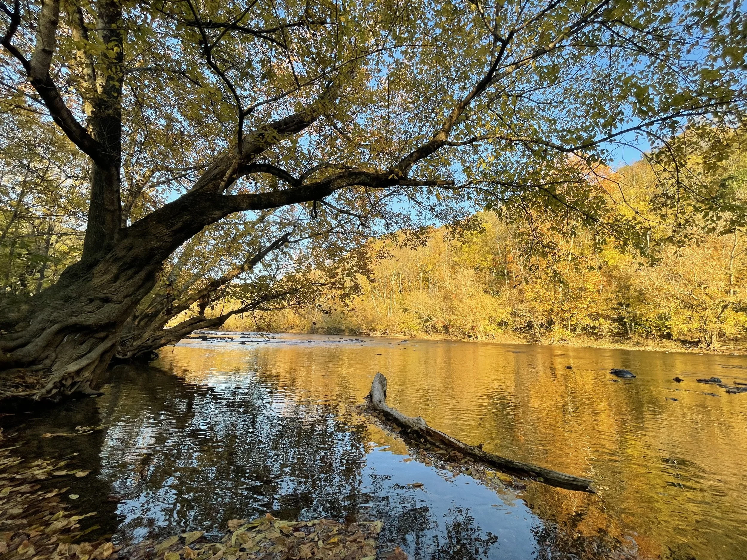 View of the property where EMDR Intensives take place.
