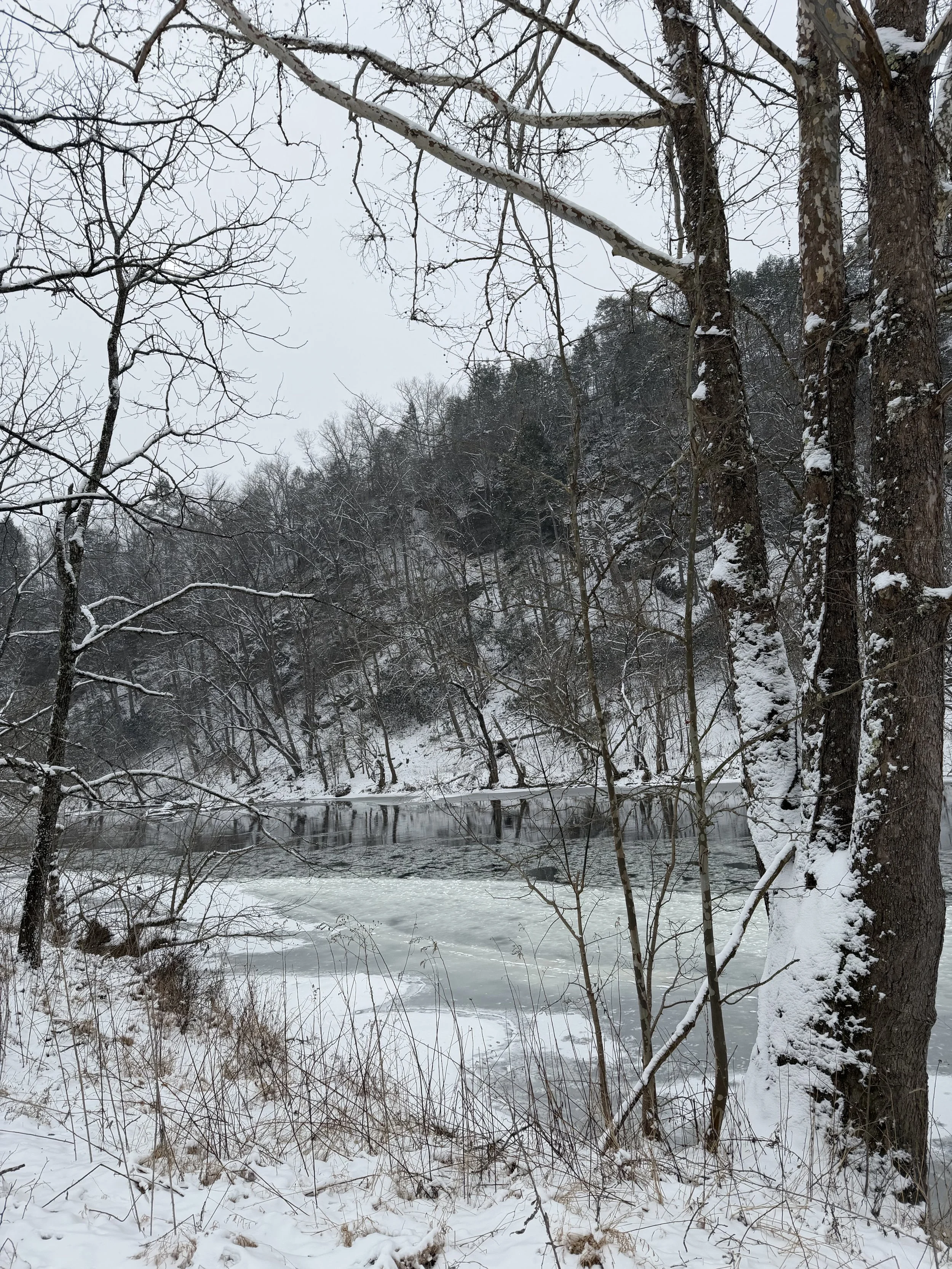 snowy river