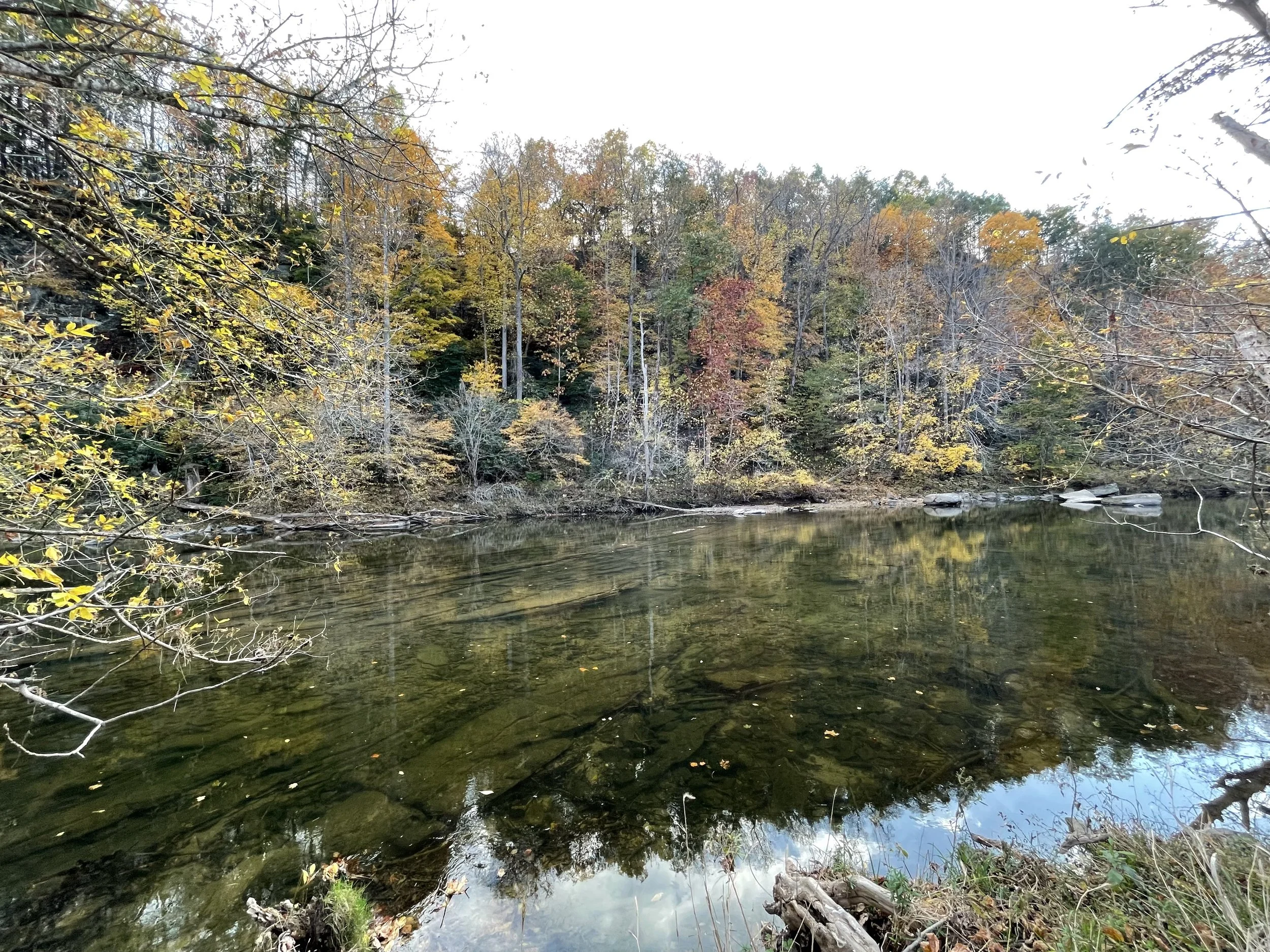 View of the property where EMDR Intensives take place.