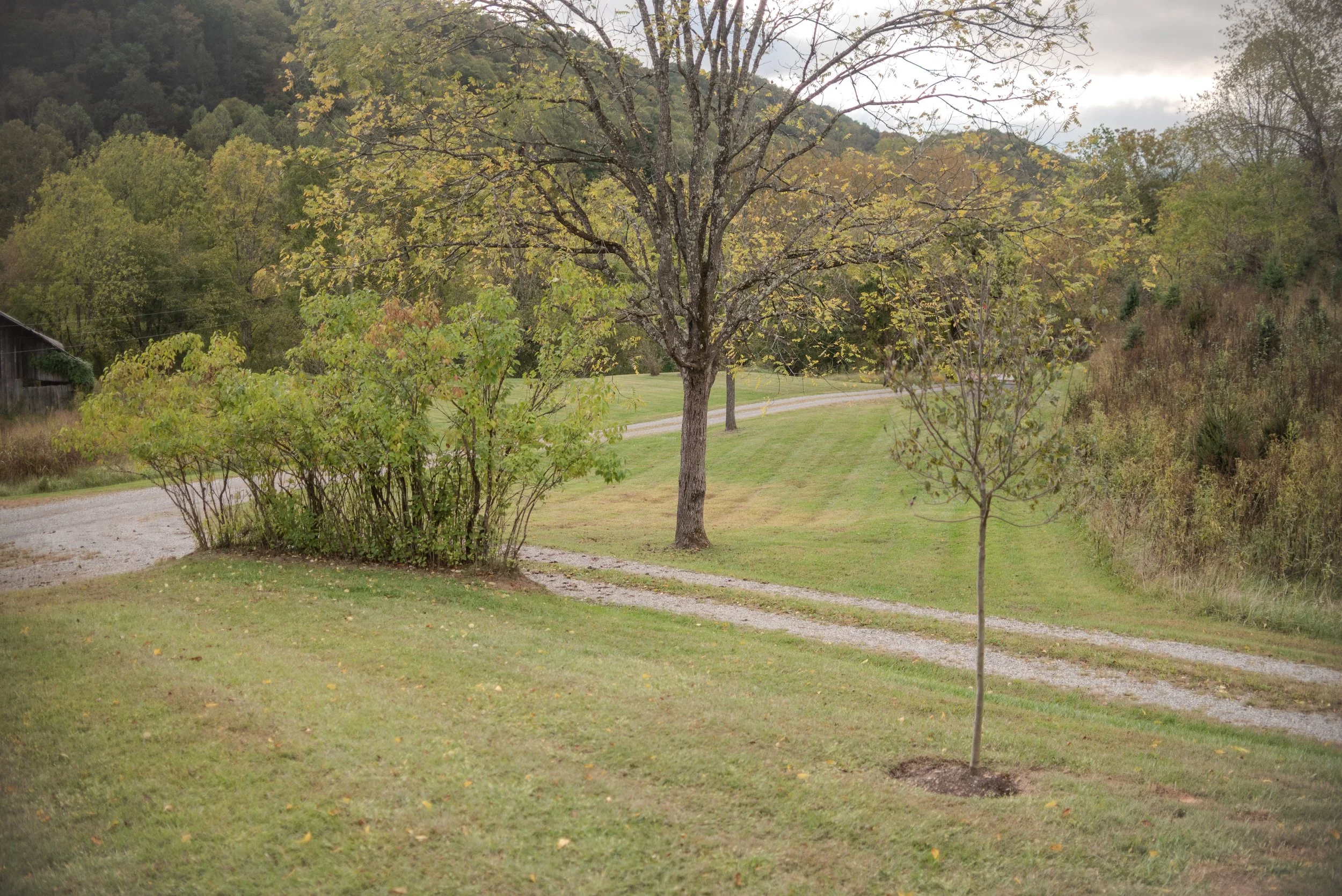 View of the property where EMDR Intensives take place.
