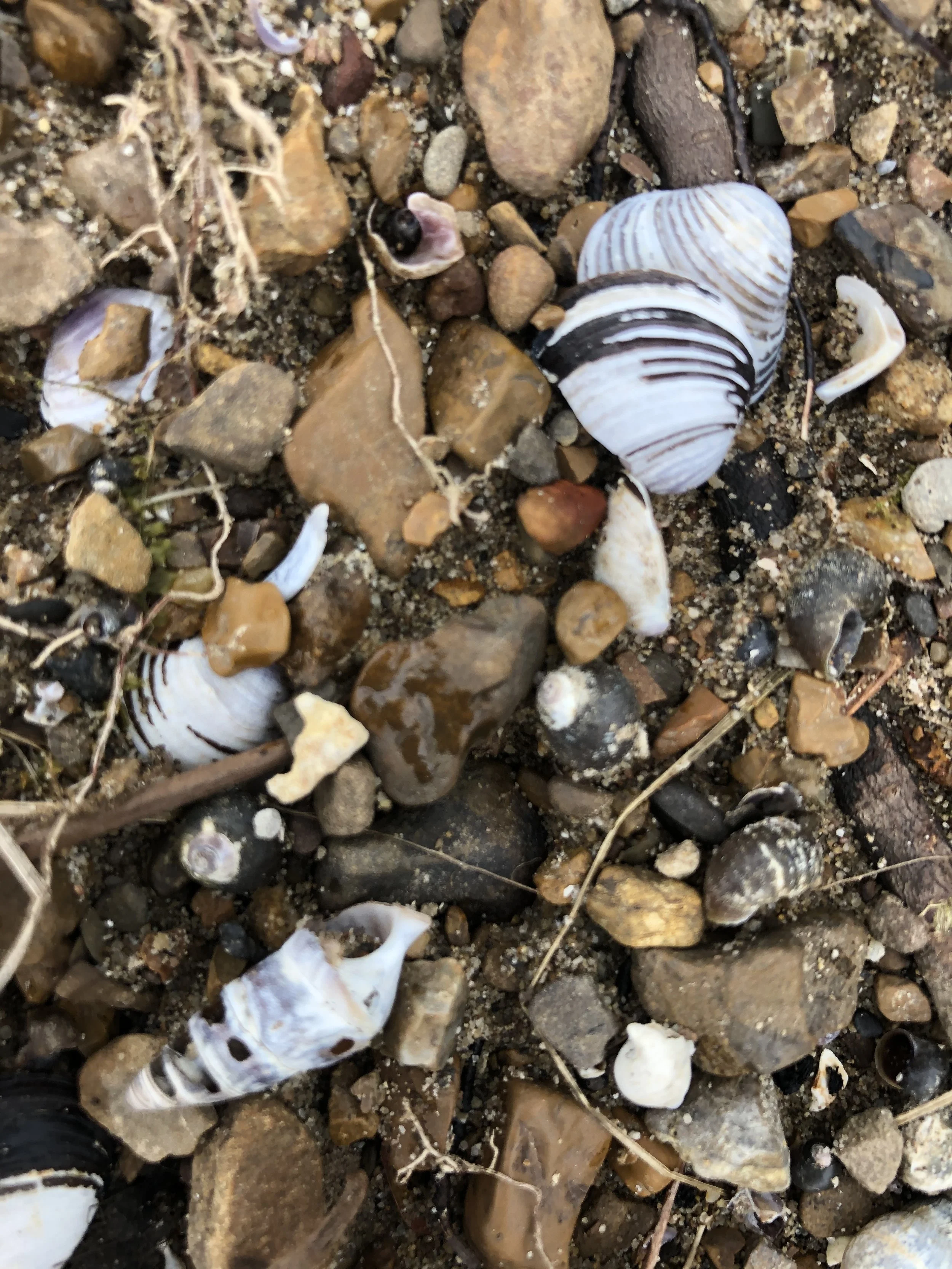 rocks outdoors