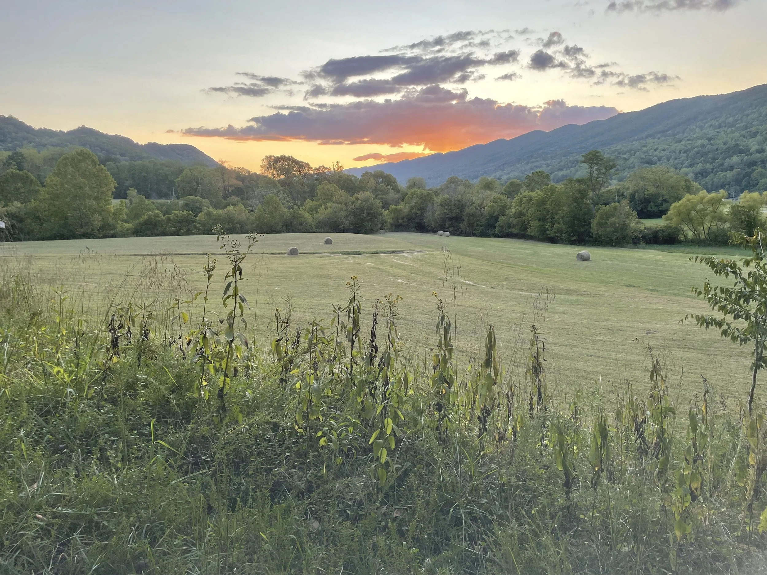 Landscape view of the property where EMDR Intensives with Cornelia Scott take place.