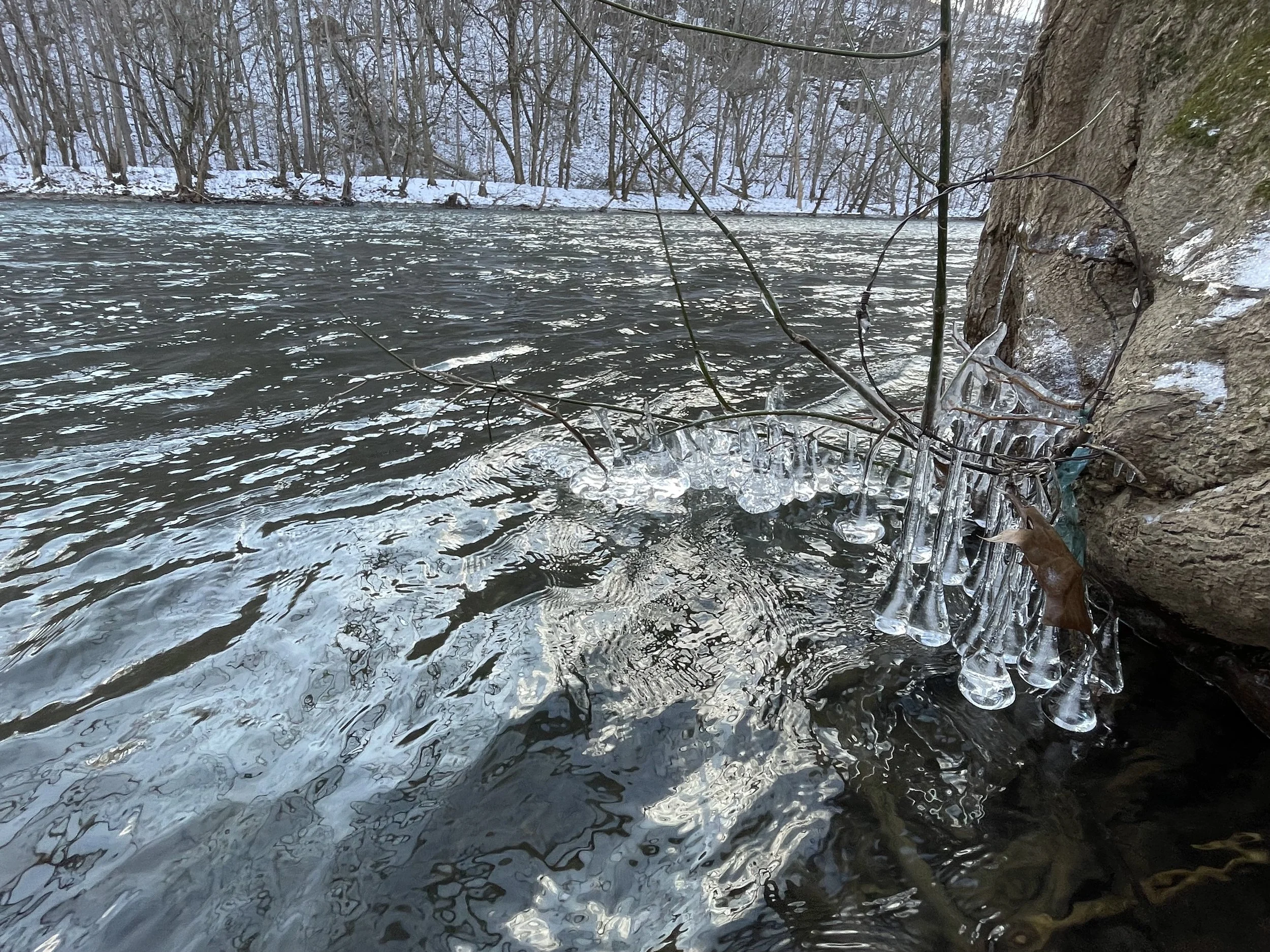 Snowy River