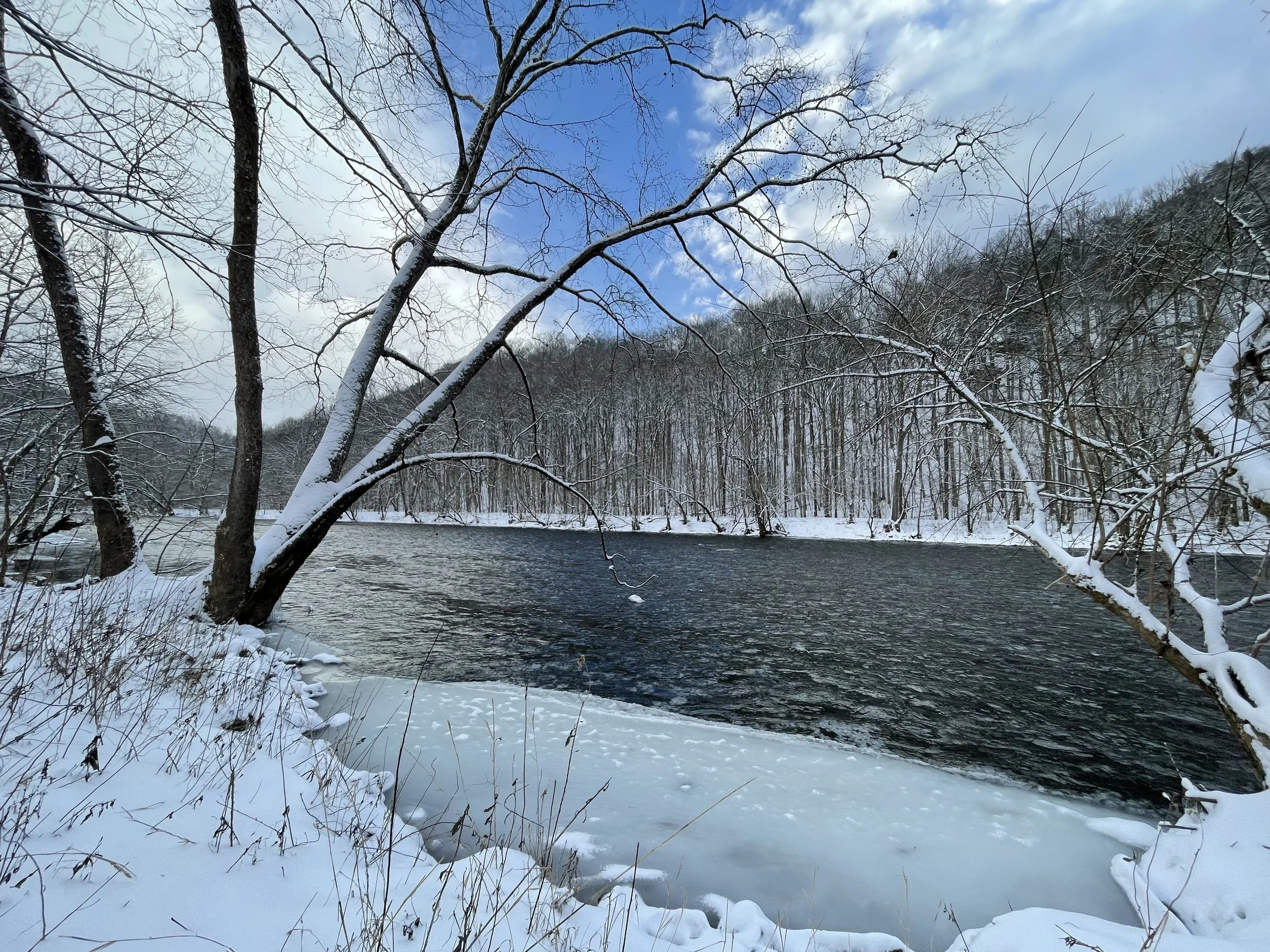 Snowy River