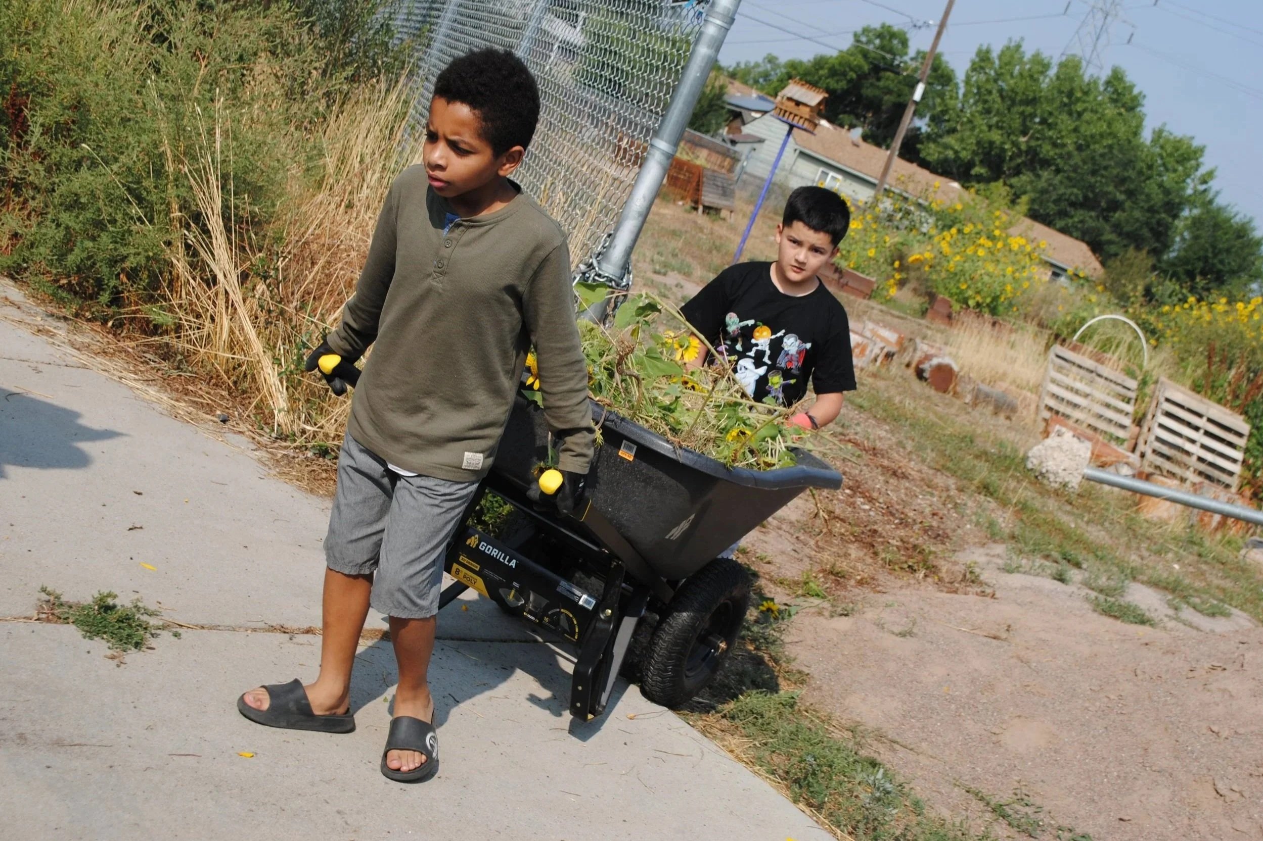 ECM Work Day - Multiple Neighborhoods