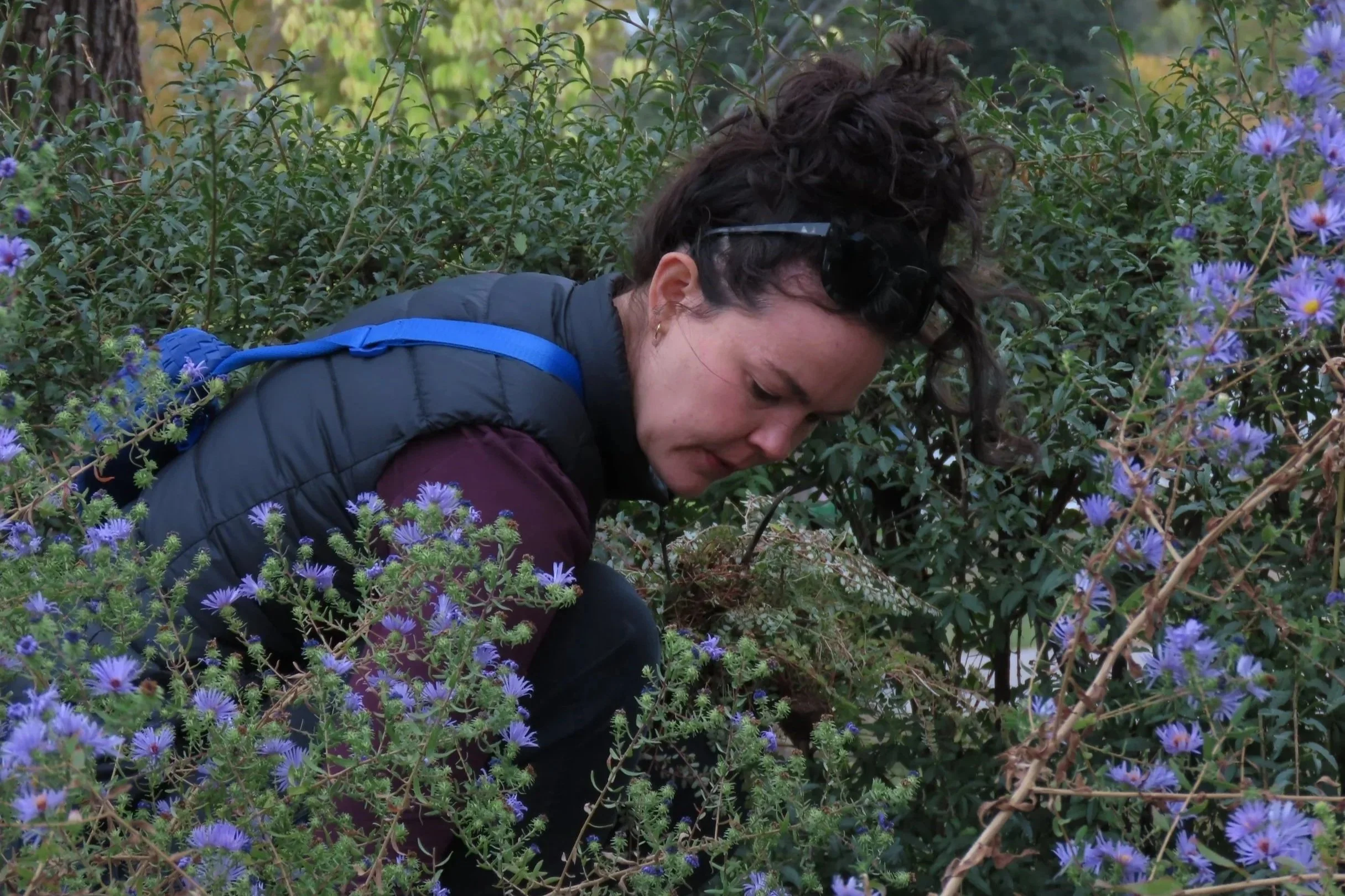 Board of Directors Spotlight - Anna