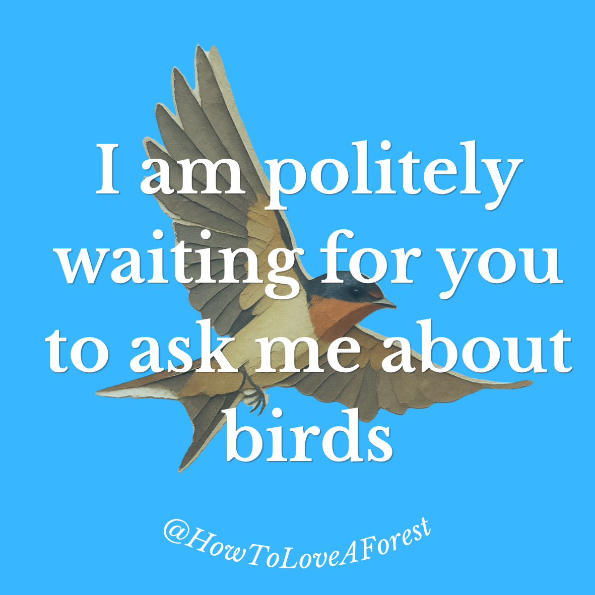 Ask Me About Birds trees sticker design.png