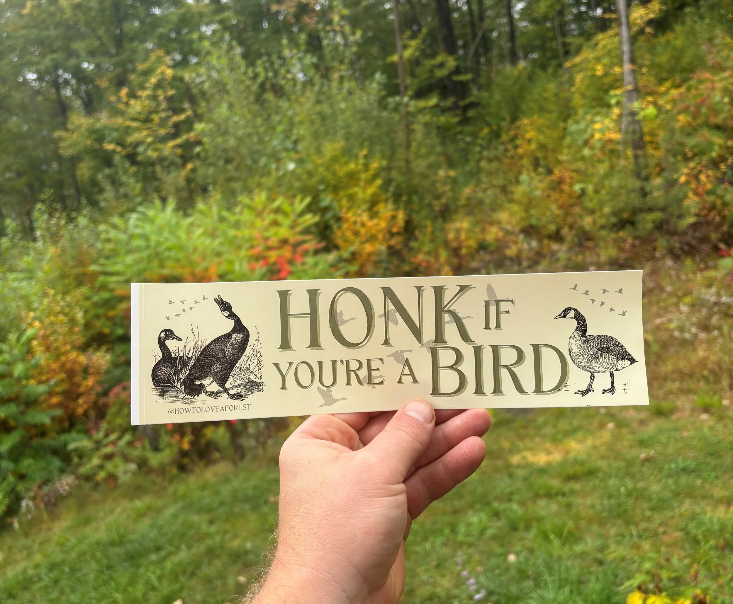 Honk Bird Sticker Pic.jpg
