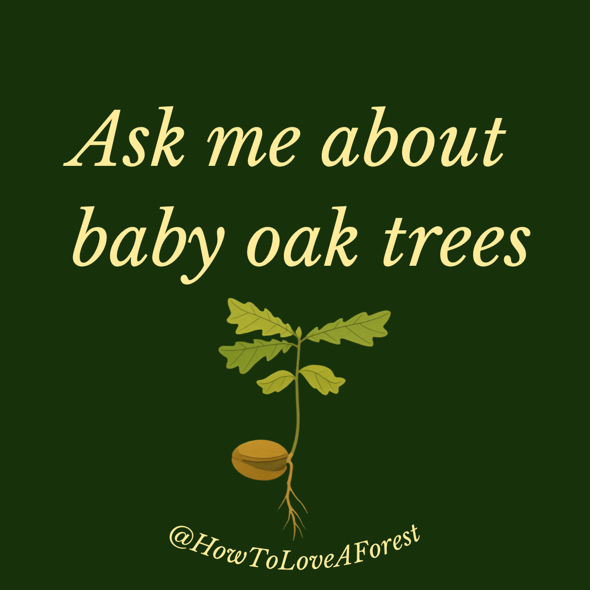 Ask me about baby oak trees sticker design.png