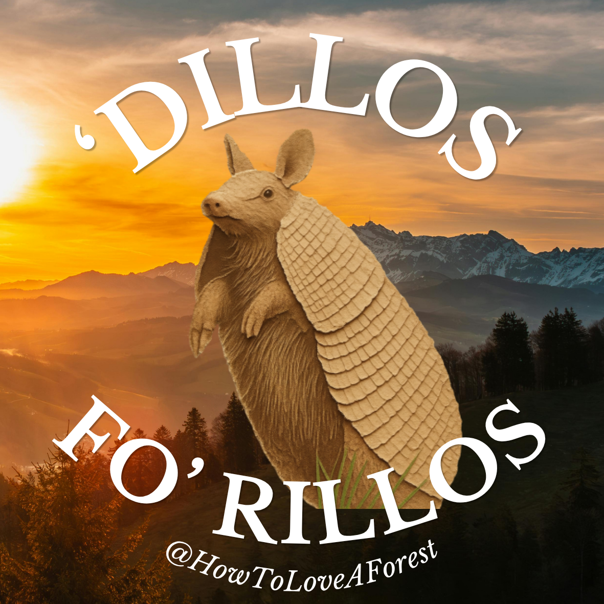 Dillos Fo Rillos sticker design.png