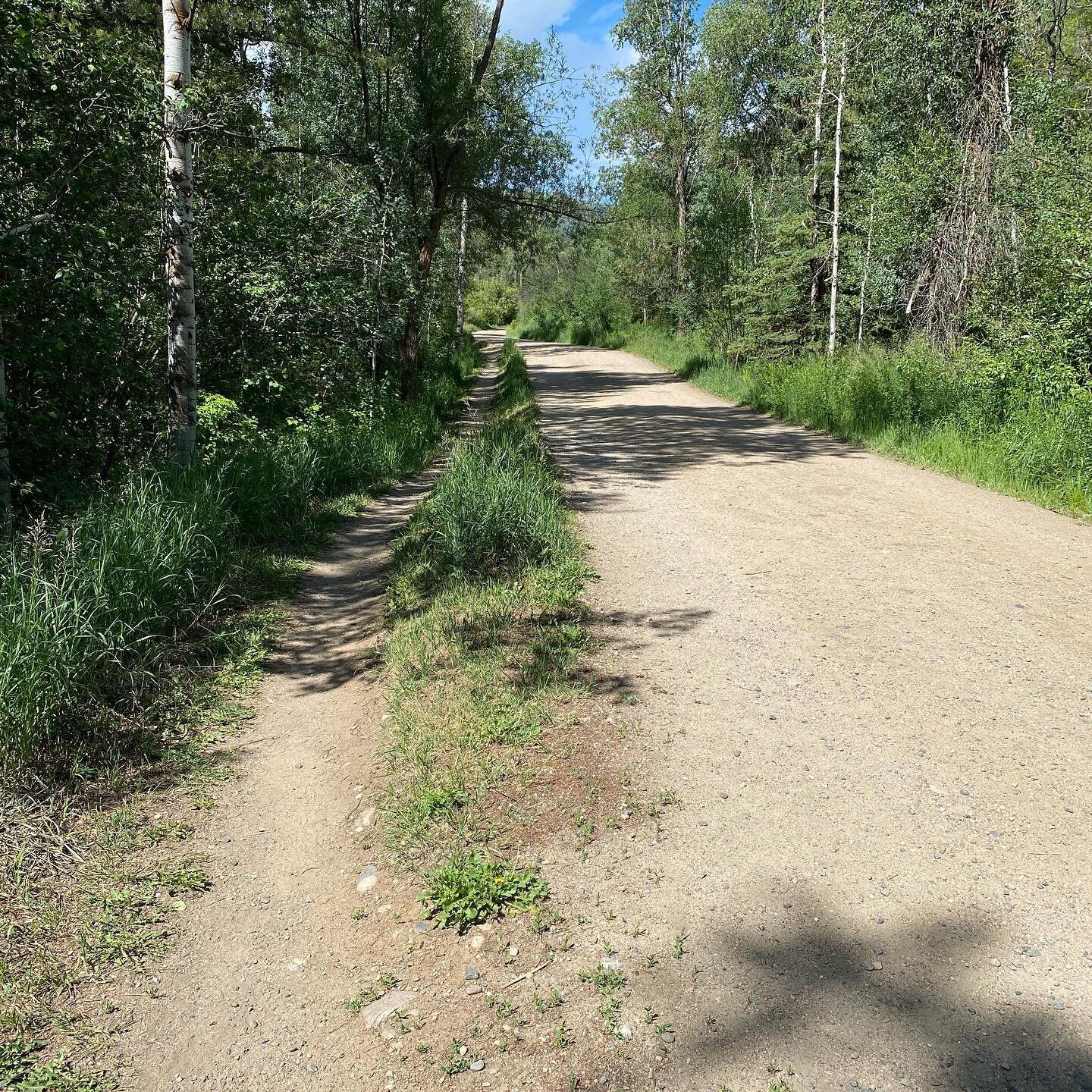 Spring Creek trail is right by an old boyfriends house. Let&rsquo;s just say my family weren&rsquo;t huge fans when we dated&mdash; but I thought he was okay.  I haven&rsquo;t driven up that street in years but today, all the parking spaces on the ro