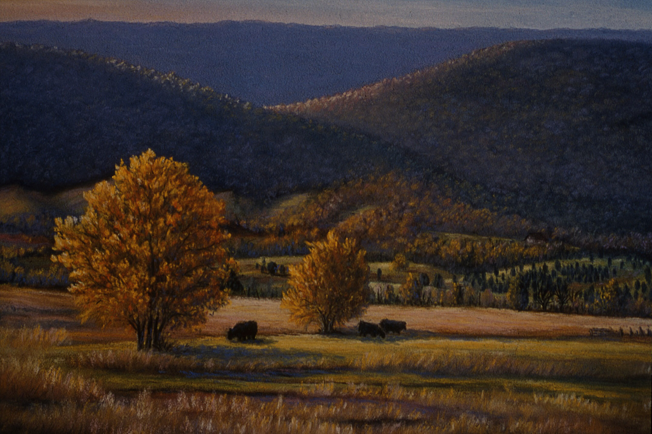 Allegheny Evening