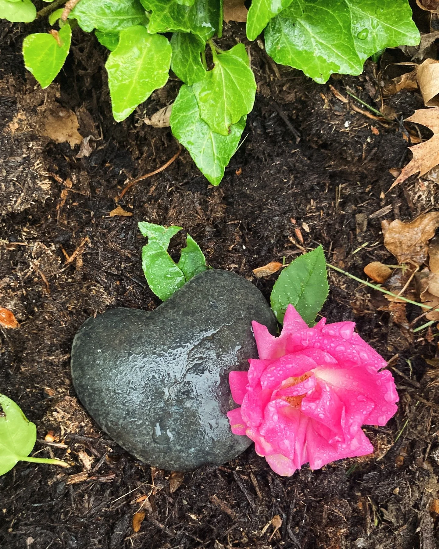 Even the smallest of us deserve acknowledgment of life.
This fourth baby robin did not survive. I lovingly gave the baby a sweet farewell and put back into the earth of my cottage garden. I have watched the parents build this nest on my side porch,