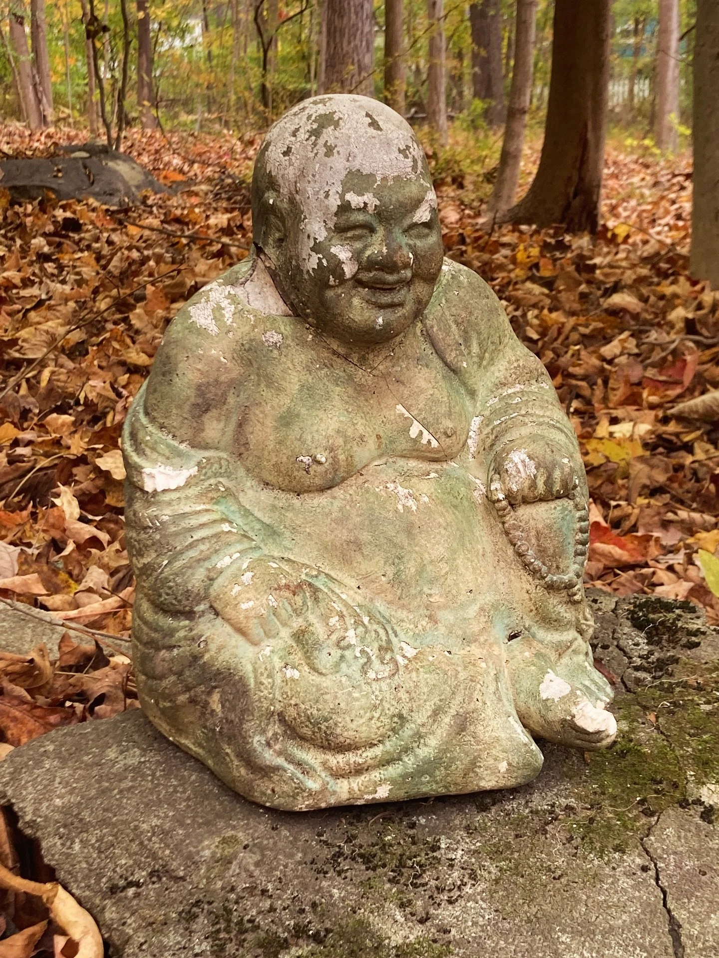 Sitting alone in the woods with his higher self, serenity was surely disrupted as I crunched by in the leaves!