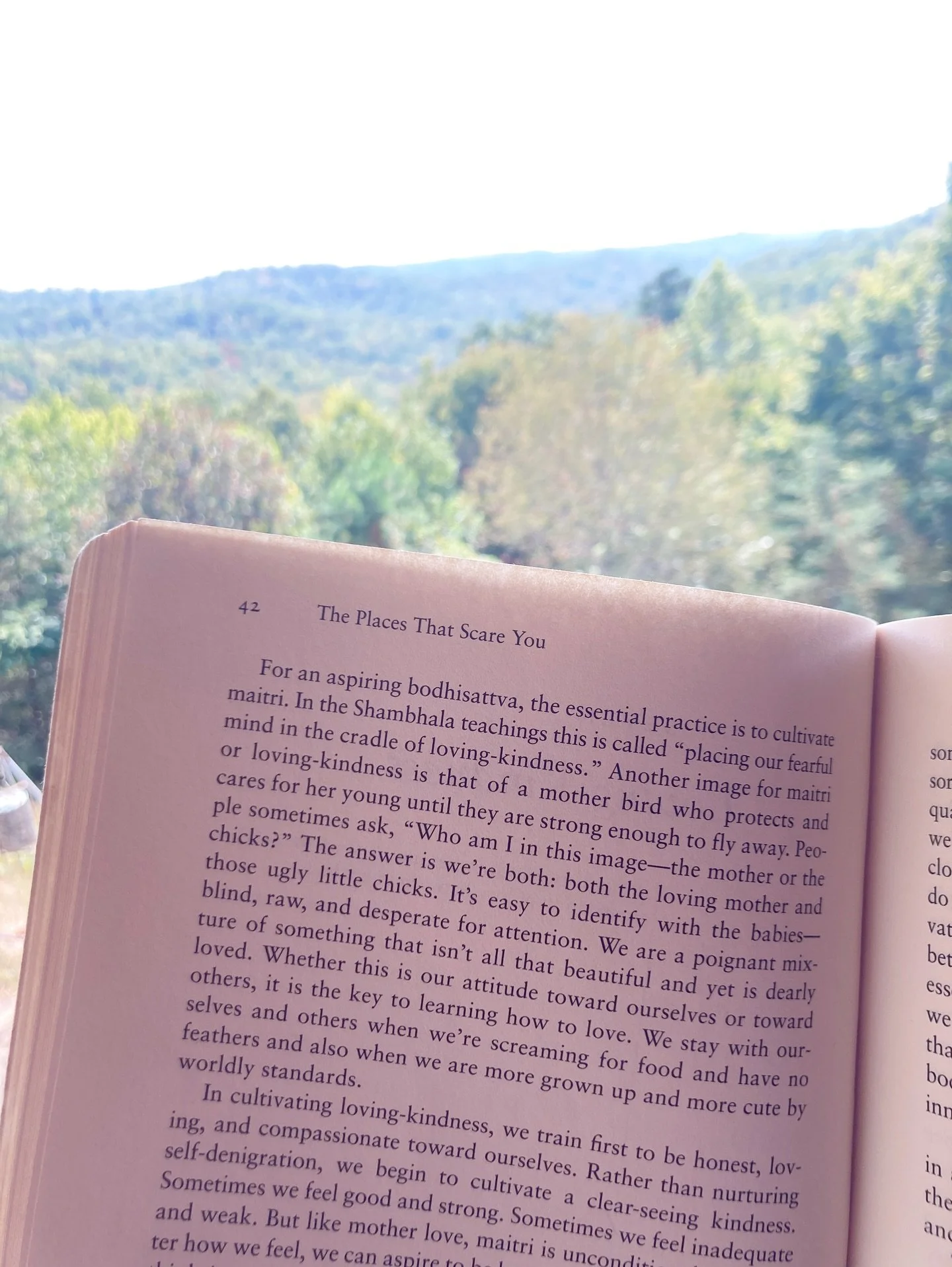 Today I study Pema Chodron, an American Buddhist nun and Tibetan meditation master, her written work : The Places That Scare You