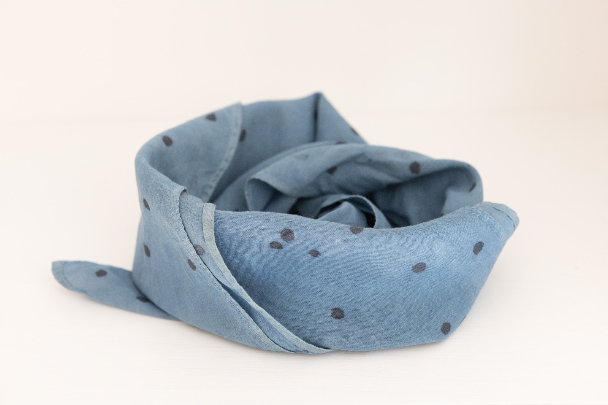 bandana-blue-dots-1d.jpg