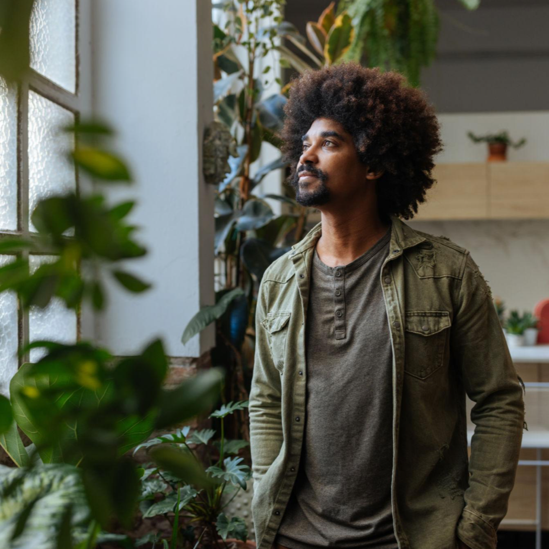 A man with curly hair and a beard looks out a window in a room filled with plants.