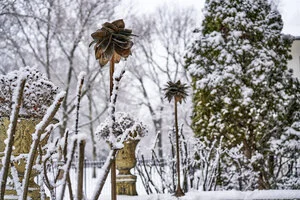 Ellen Brenner Sørensen Bronze Flora Sculptures