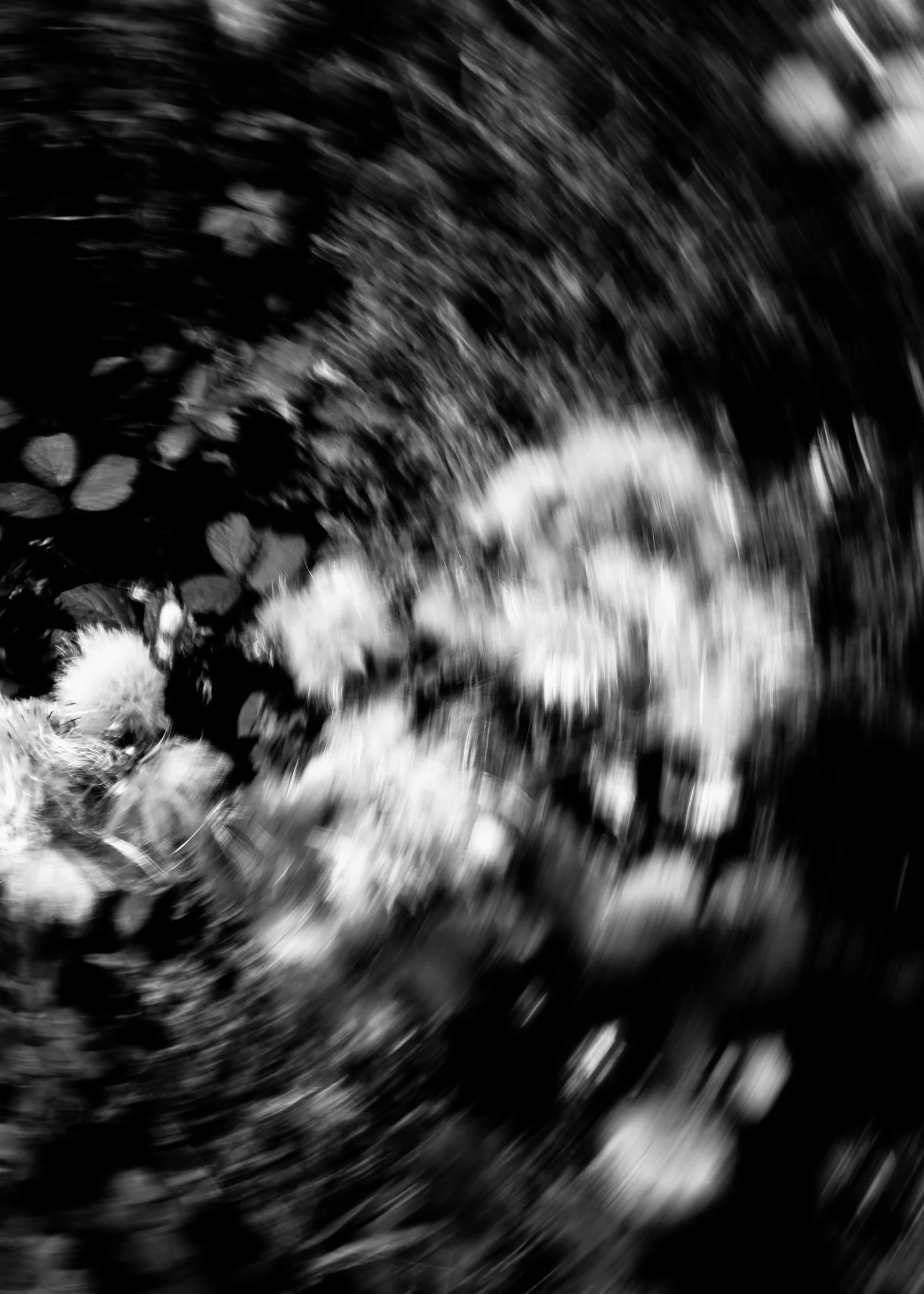 Field Rotations-15.jpg