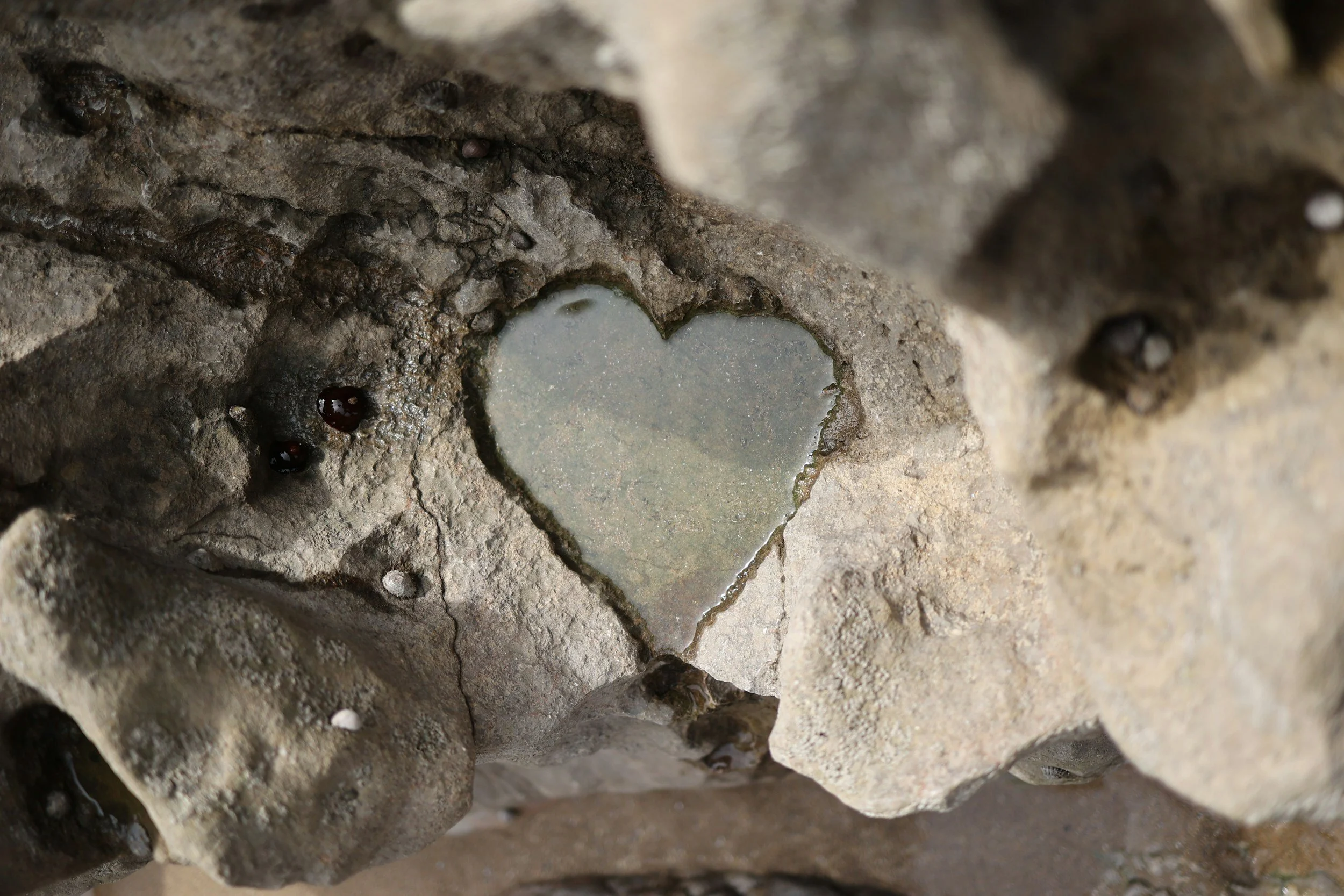After an Affair: Why We Offer Couples Intensives When You Need Support Most
