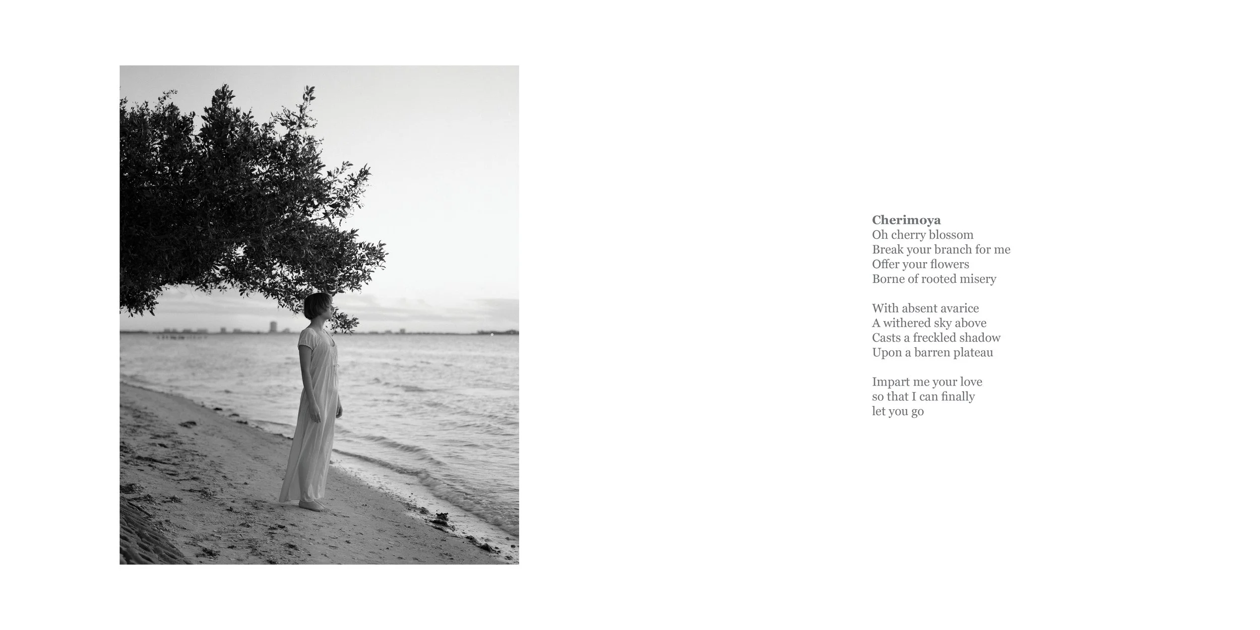 Coalesce pages14.jpg