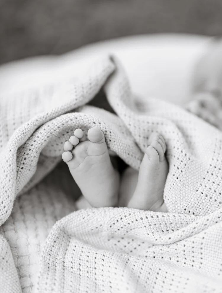 newborn 3.jpeg
