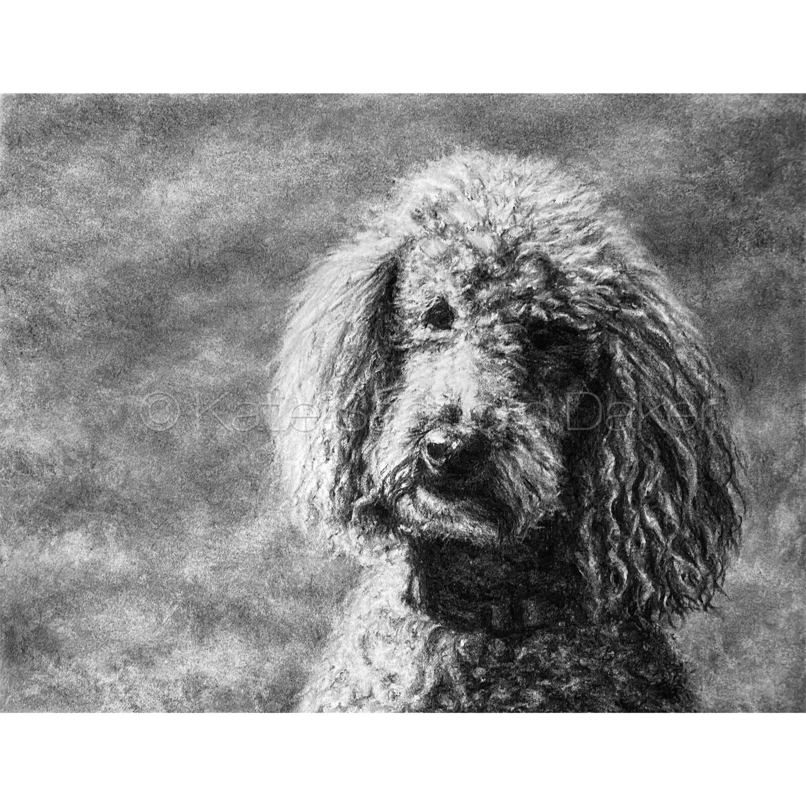 "Sabre": Charcoal Commission on archival paper, 14"x11" 