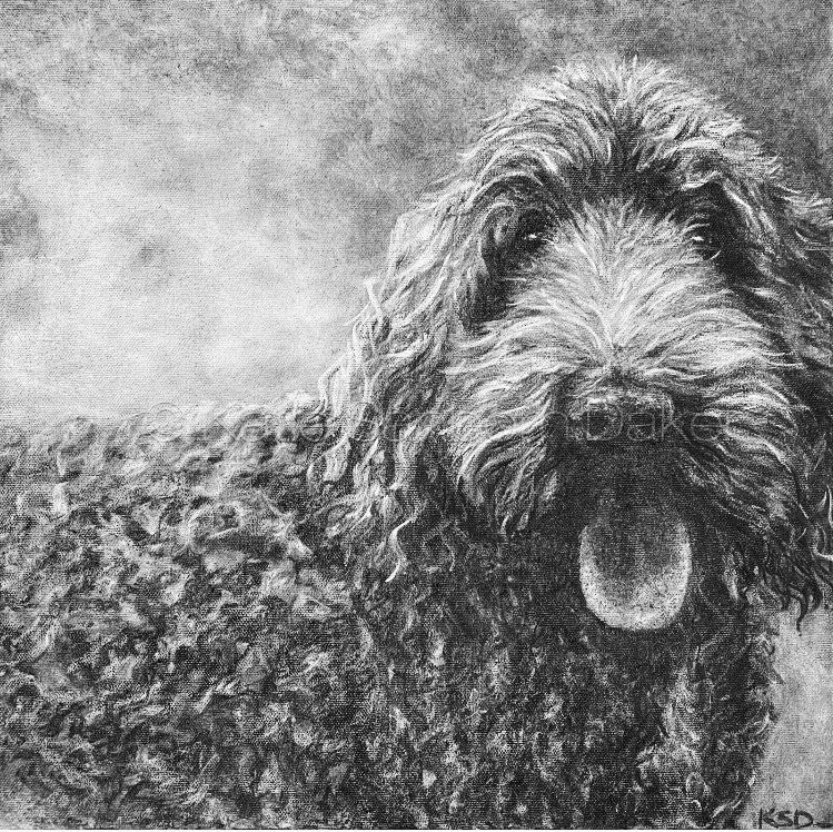 coco-wm+dramatic+filter+for+website.jpg