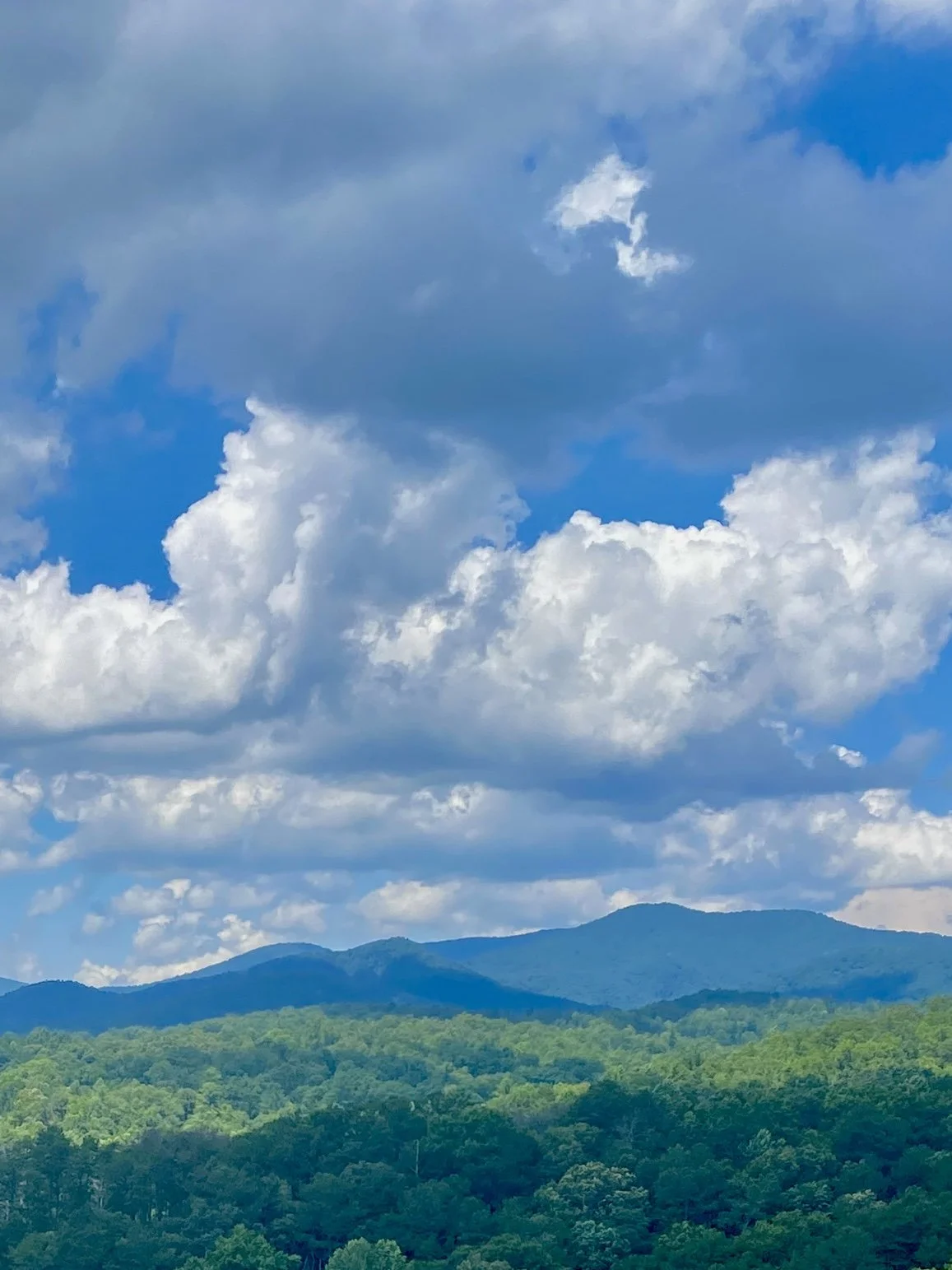 “Cohutta Cloudscape” Acrylic Painting Event at Buckley Vineyards