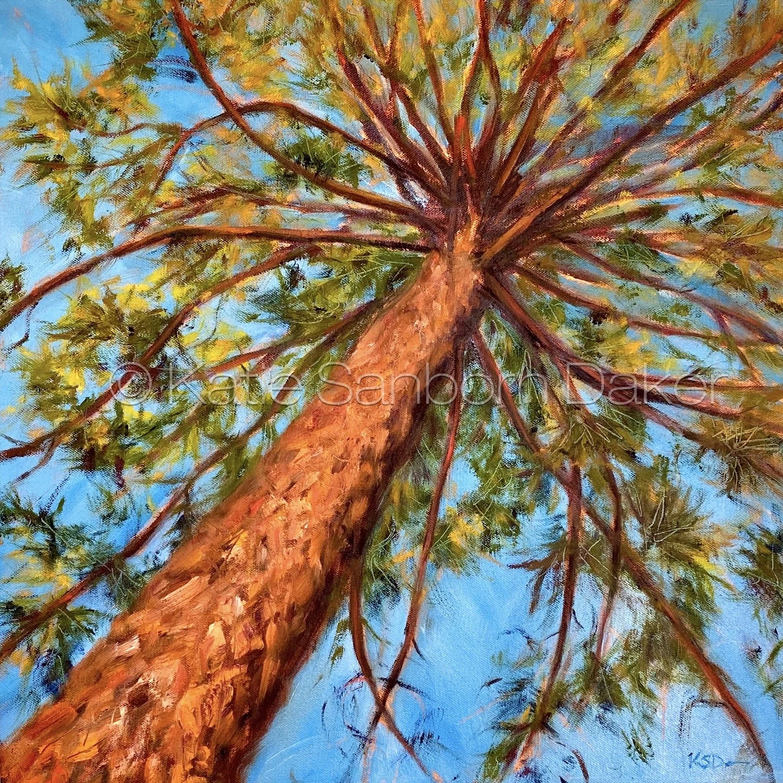 "Brightness of Air II": 24"x24" oil on gallery-wrapped canvas