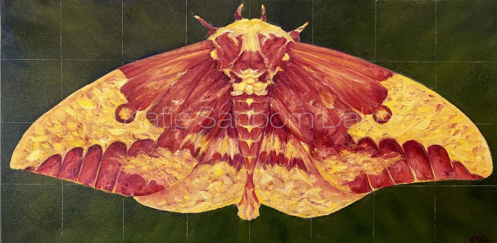 "Queen II (Imperial Moth)" 36"x18" Oil Painting